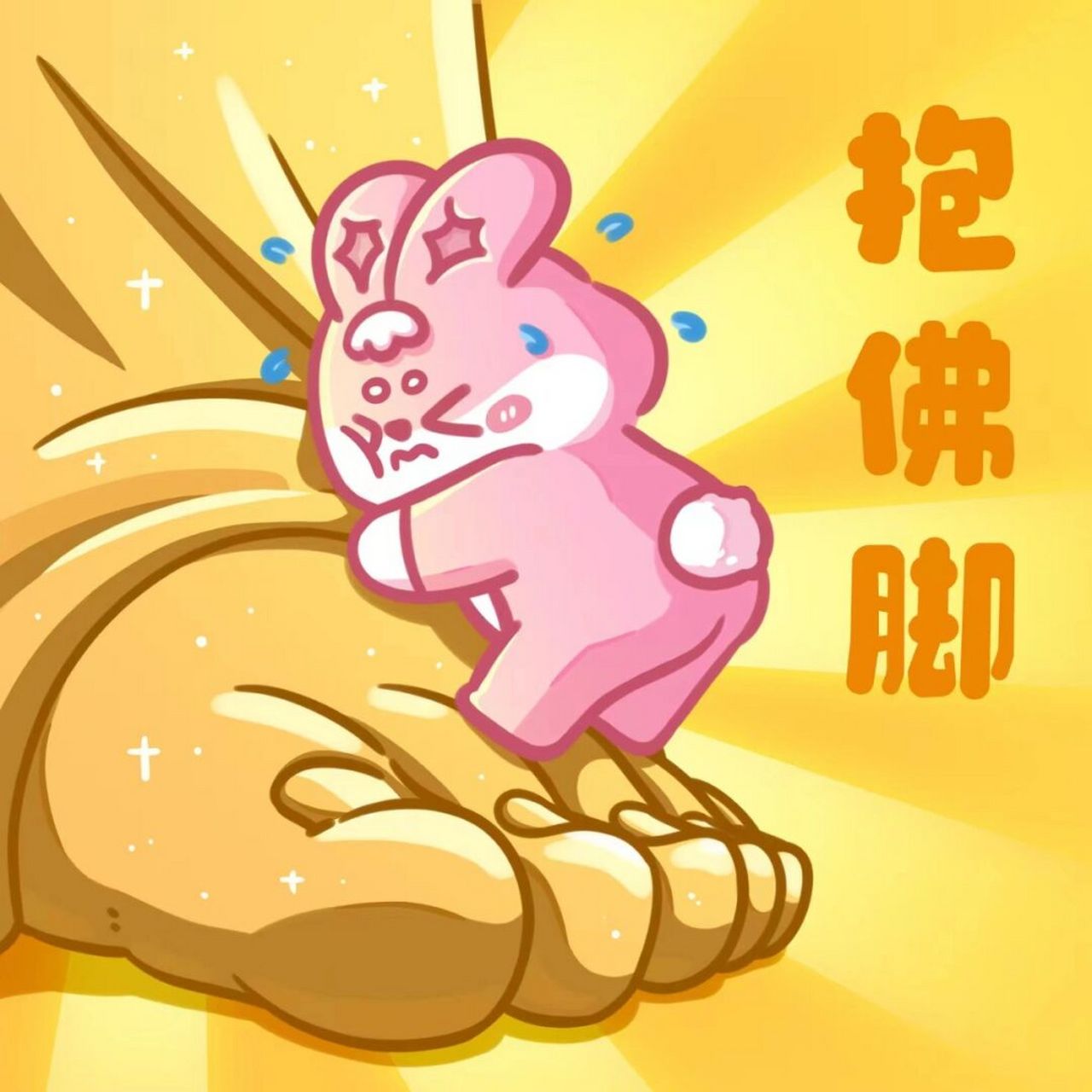 明天要高考,临时抱佛脚 一共张两只,抢完就没了.