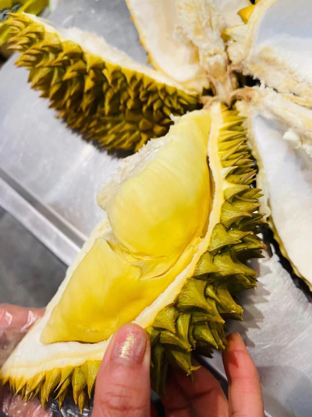 特级大象榴莲到货