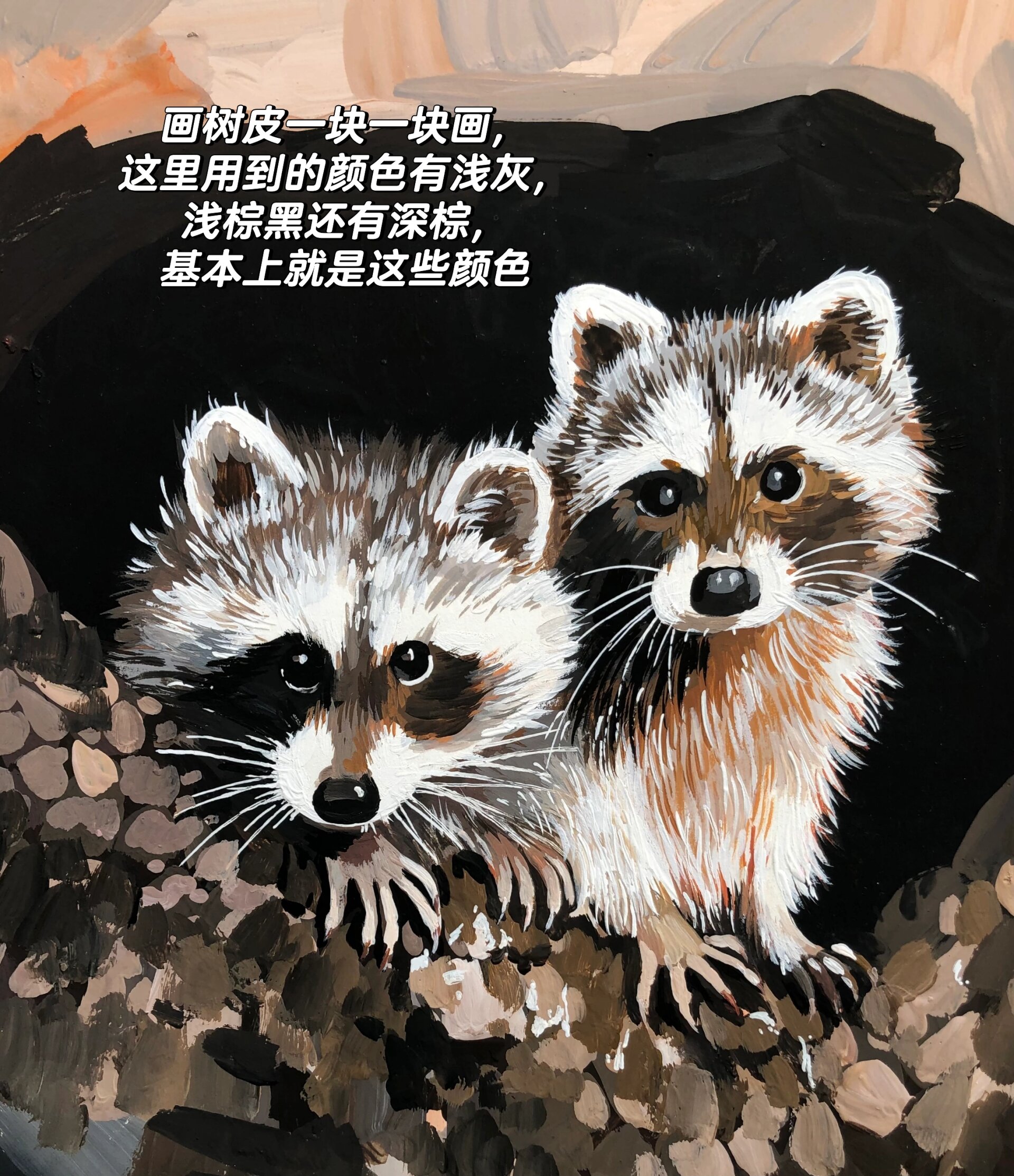 水粉丙烯动物画《浣熊宝宝》