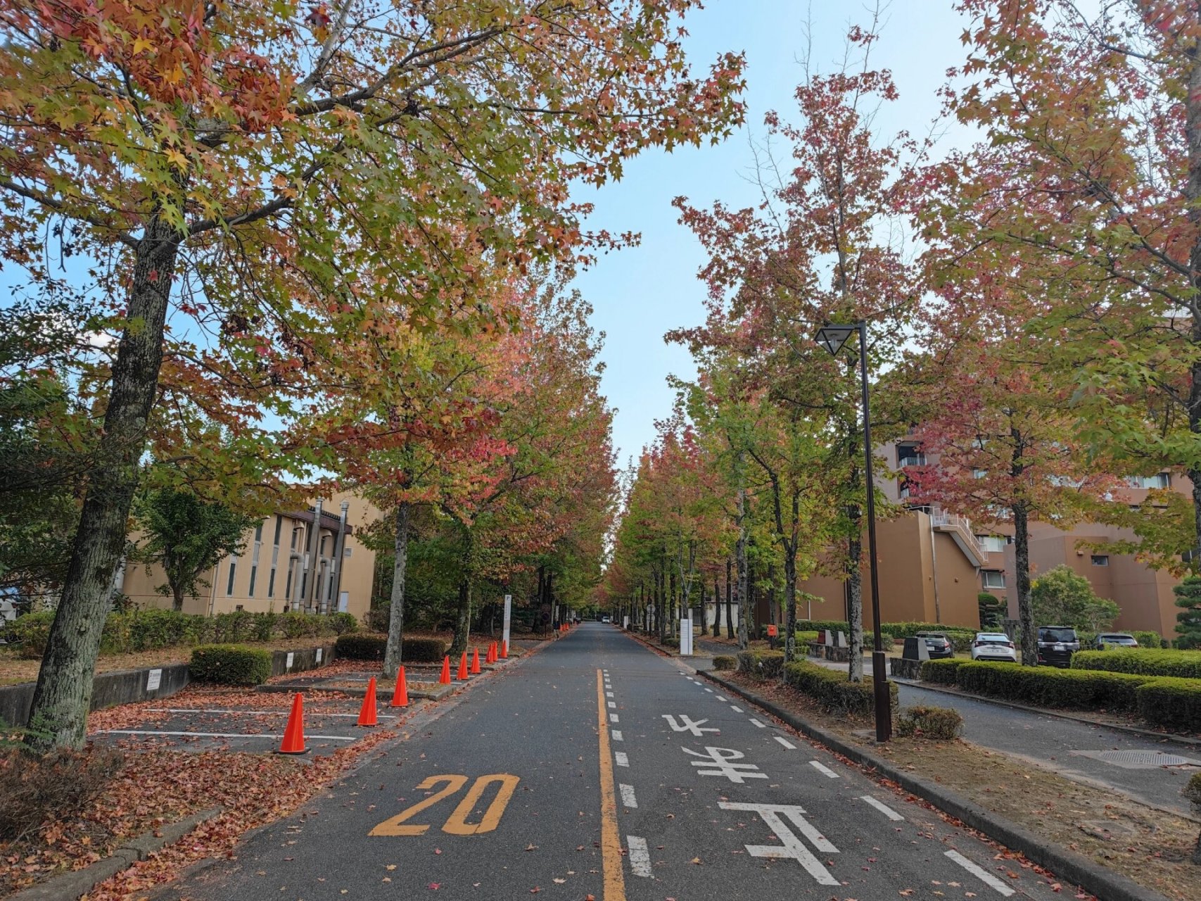 首都师范大学广岛大学图片