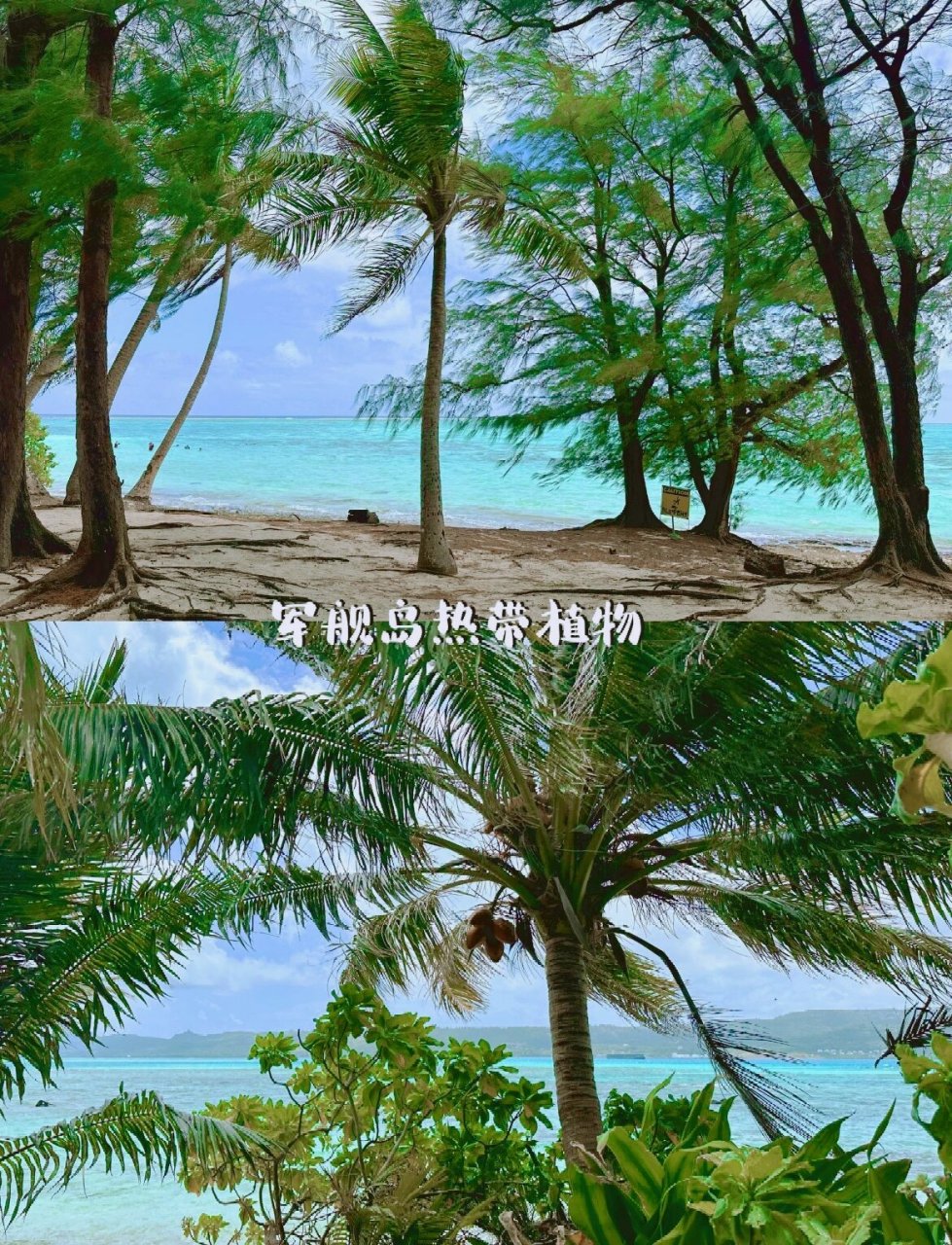 mana-gaha在当地土著语中是珍珠的意思,因此军舰岛也被称为塞班岛的