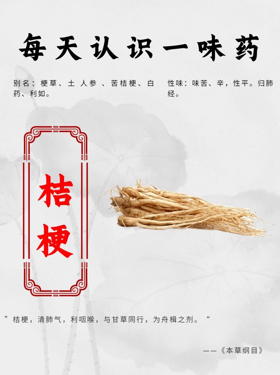 为桔梗科植物桔梗的干燥根.