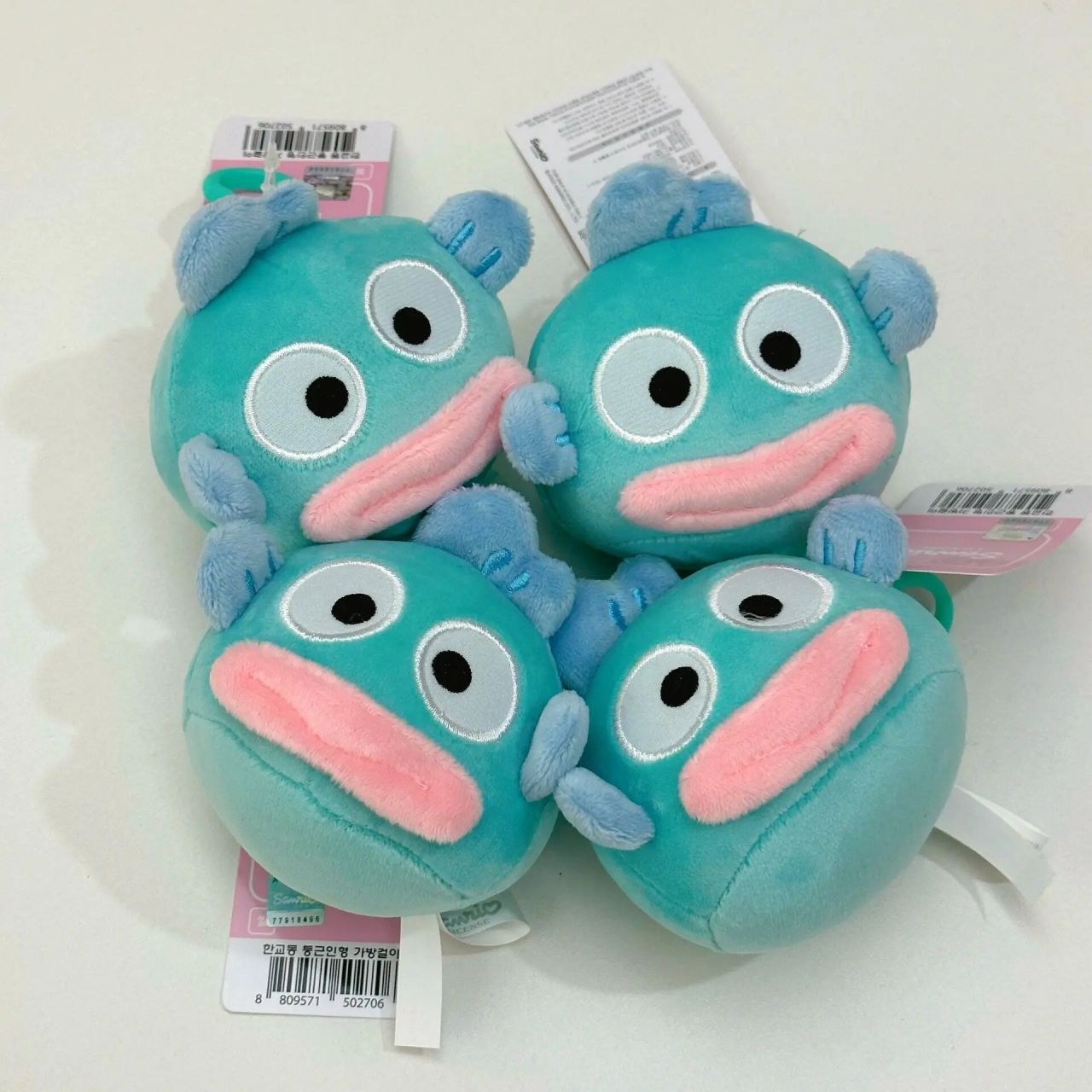 韩国鱼鱼又蠢又可爱 谁能不喜欢可爱鱼鱼呢!