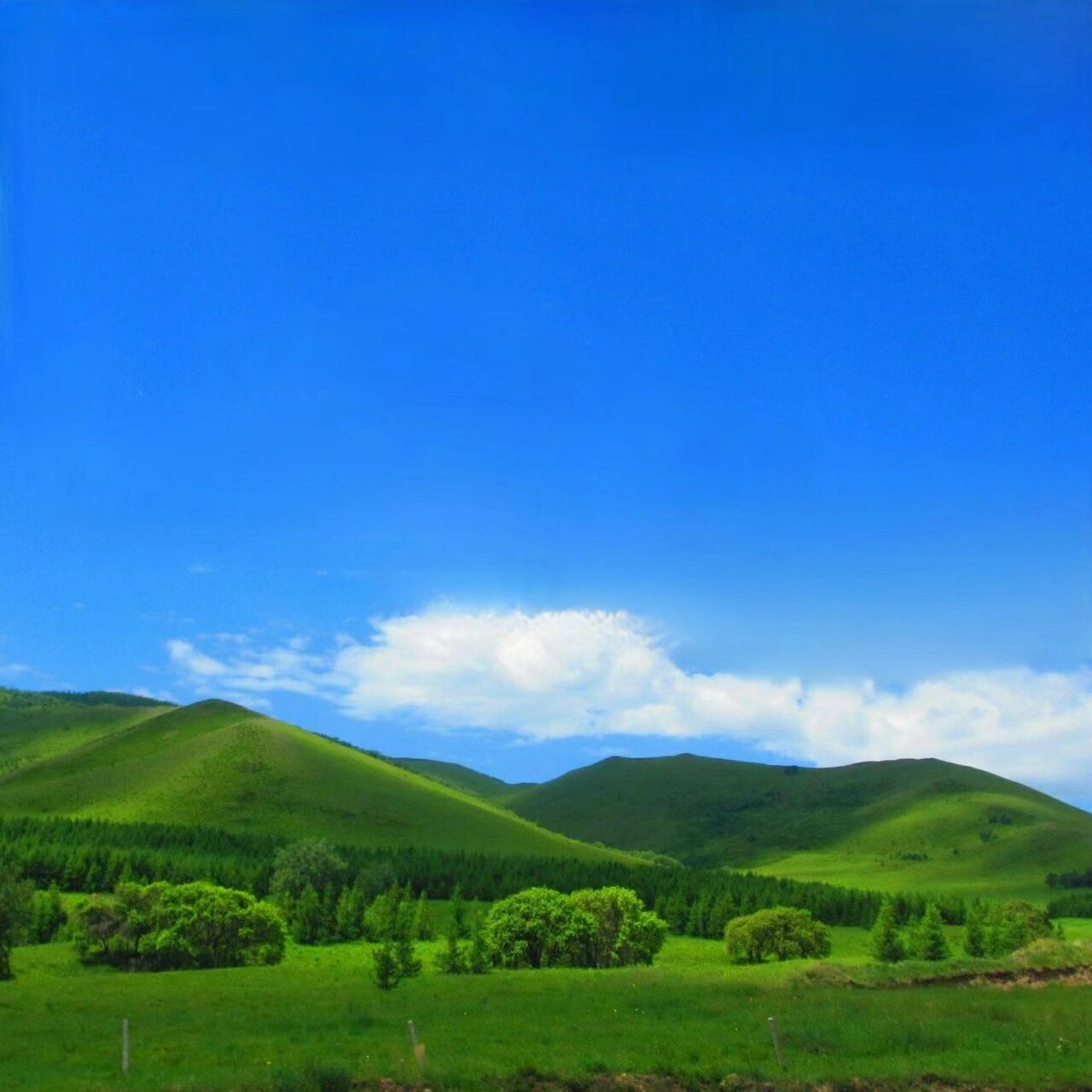 《头像分享》更好的前行