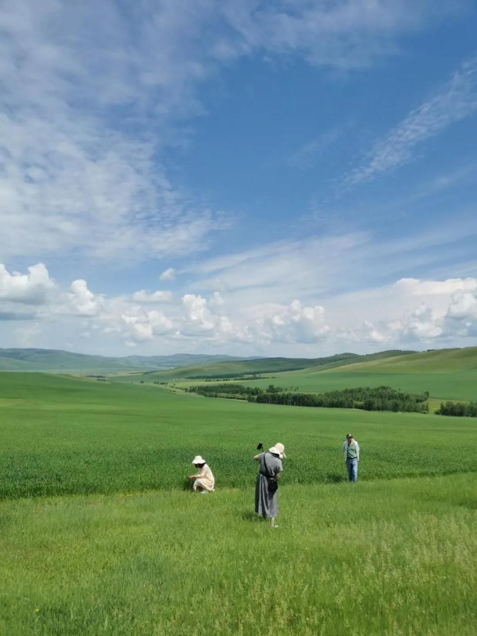 天海翼与老头IPX566意外曝光引发全网热议，网友调侃画面尺度惊人，平台紧急下架相关片段，事件真相令人唏嘘不已。