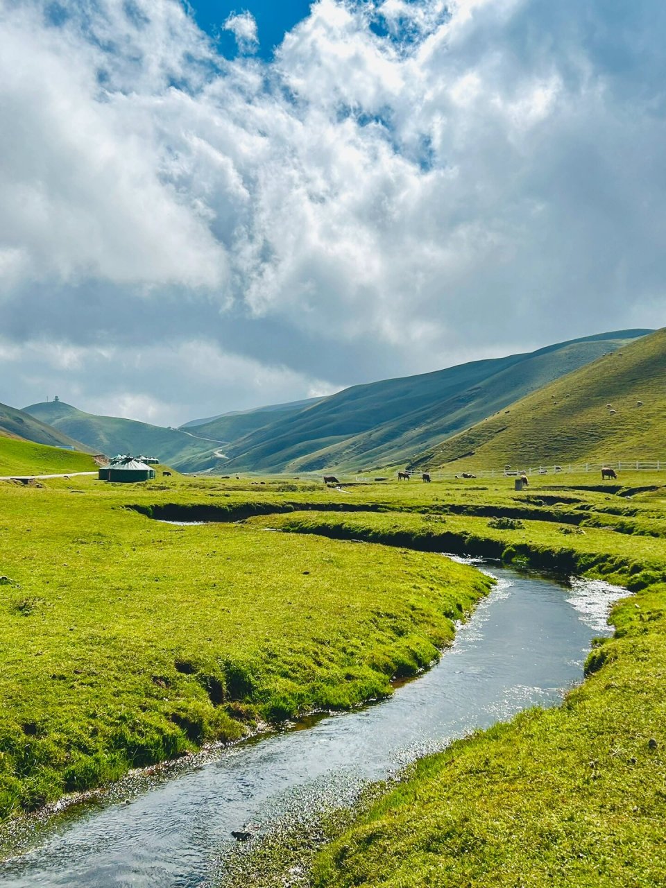 不想去第二次 今天趁着周末自驾去了99曲靖会泽大海草山 	 大海草山