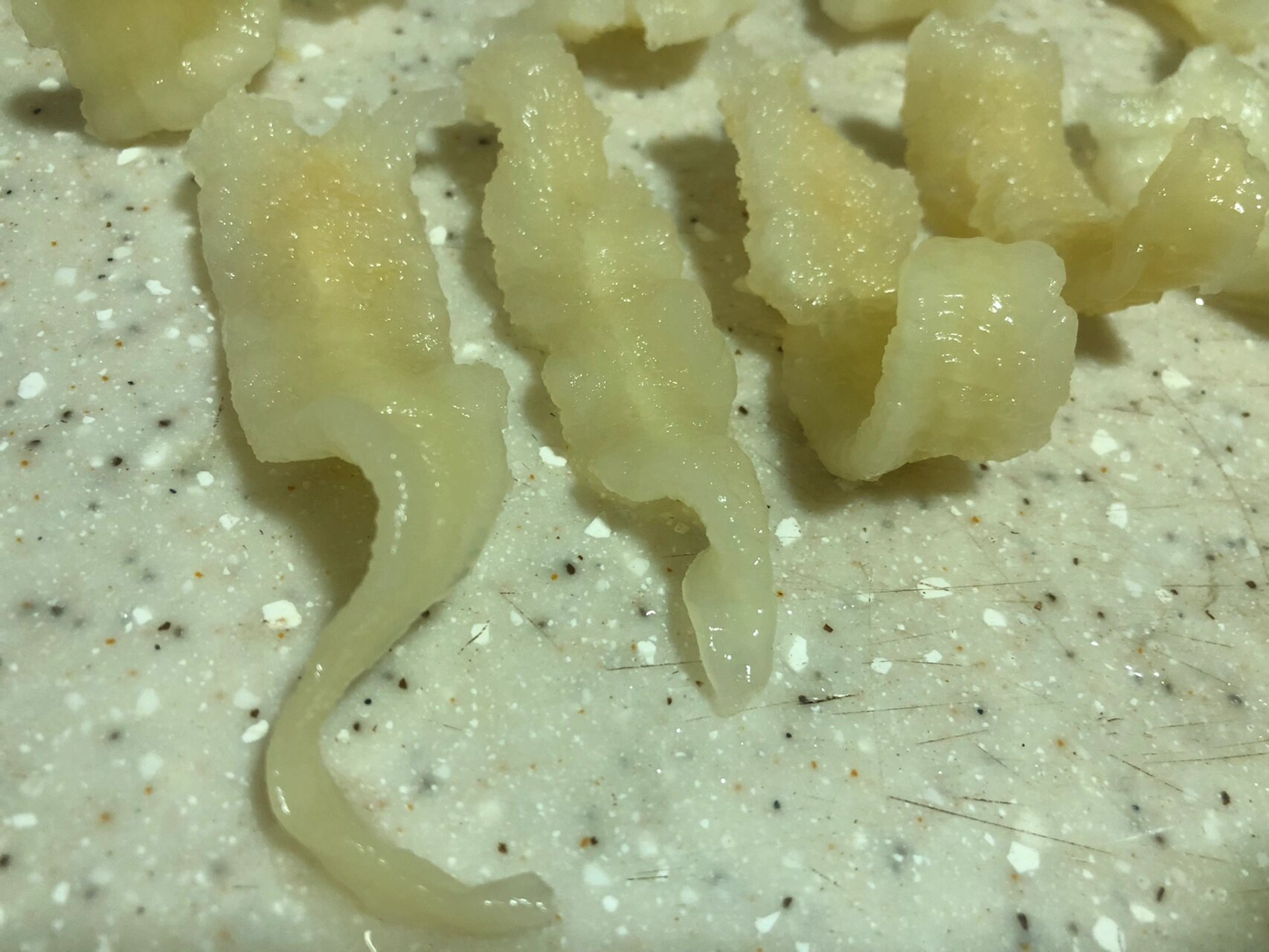 辨别真假鱼胶 泡发了24小时后的鱼胶,纹路清晰了,也通透有韧性,不太像