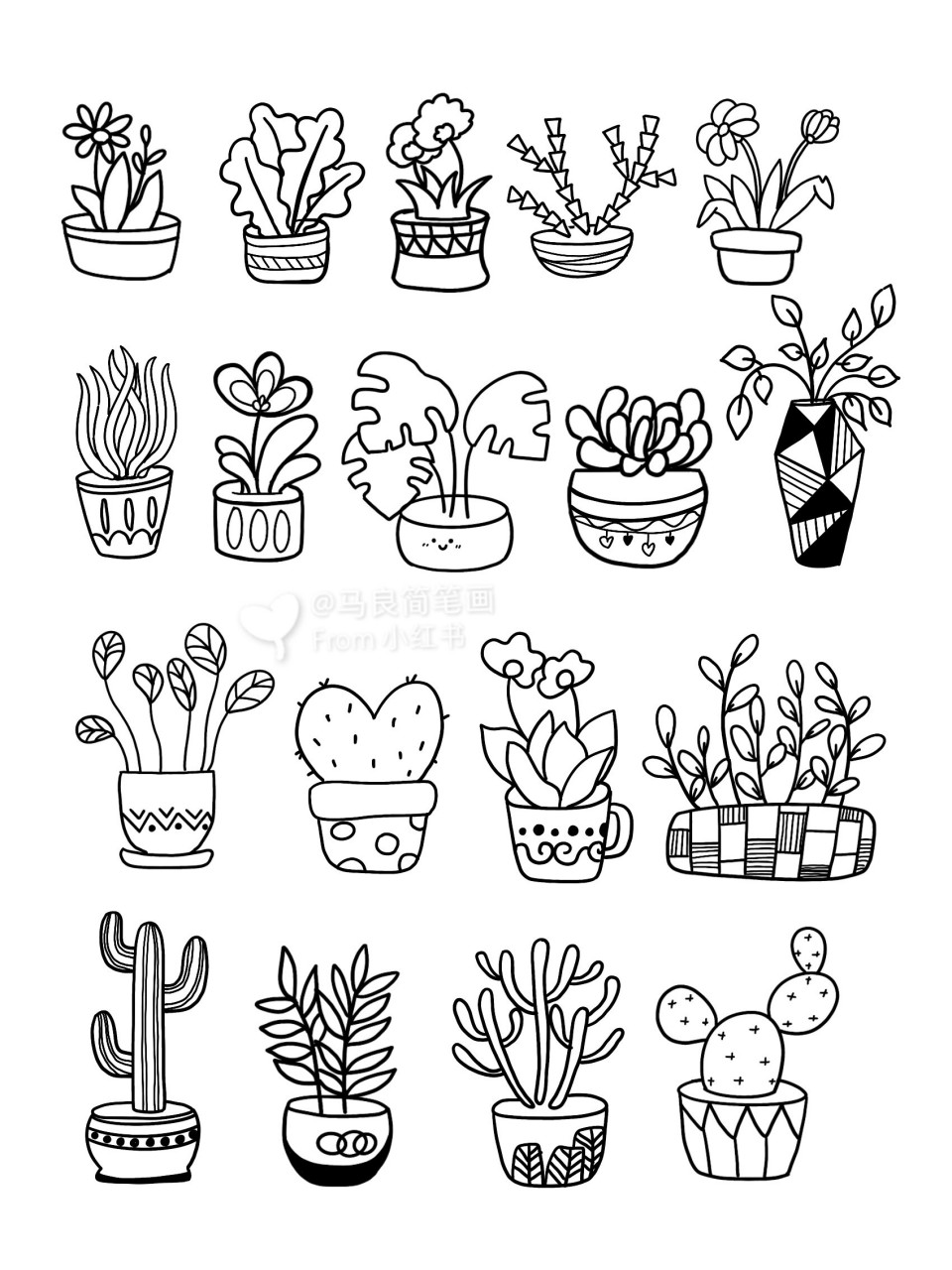 种植植物简笔画图片