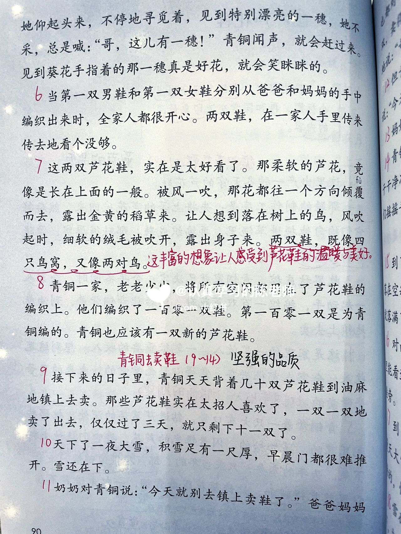 课文笔记|四下第21课《芦花鞋