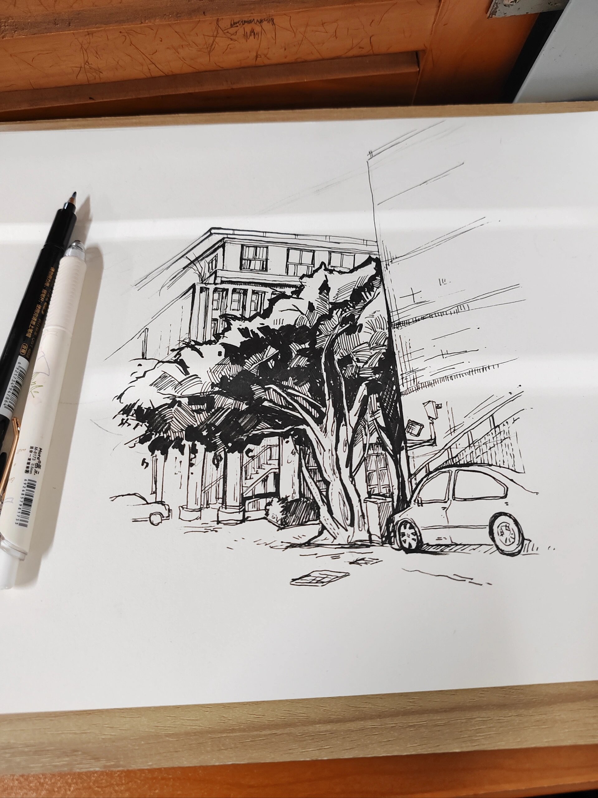 大一速写风景,画校园 今天学习了老师一种装饰性的表达方法,就是那个