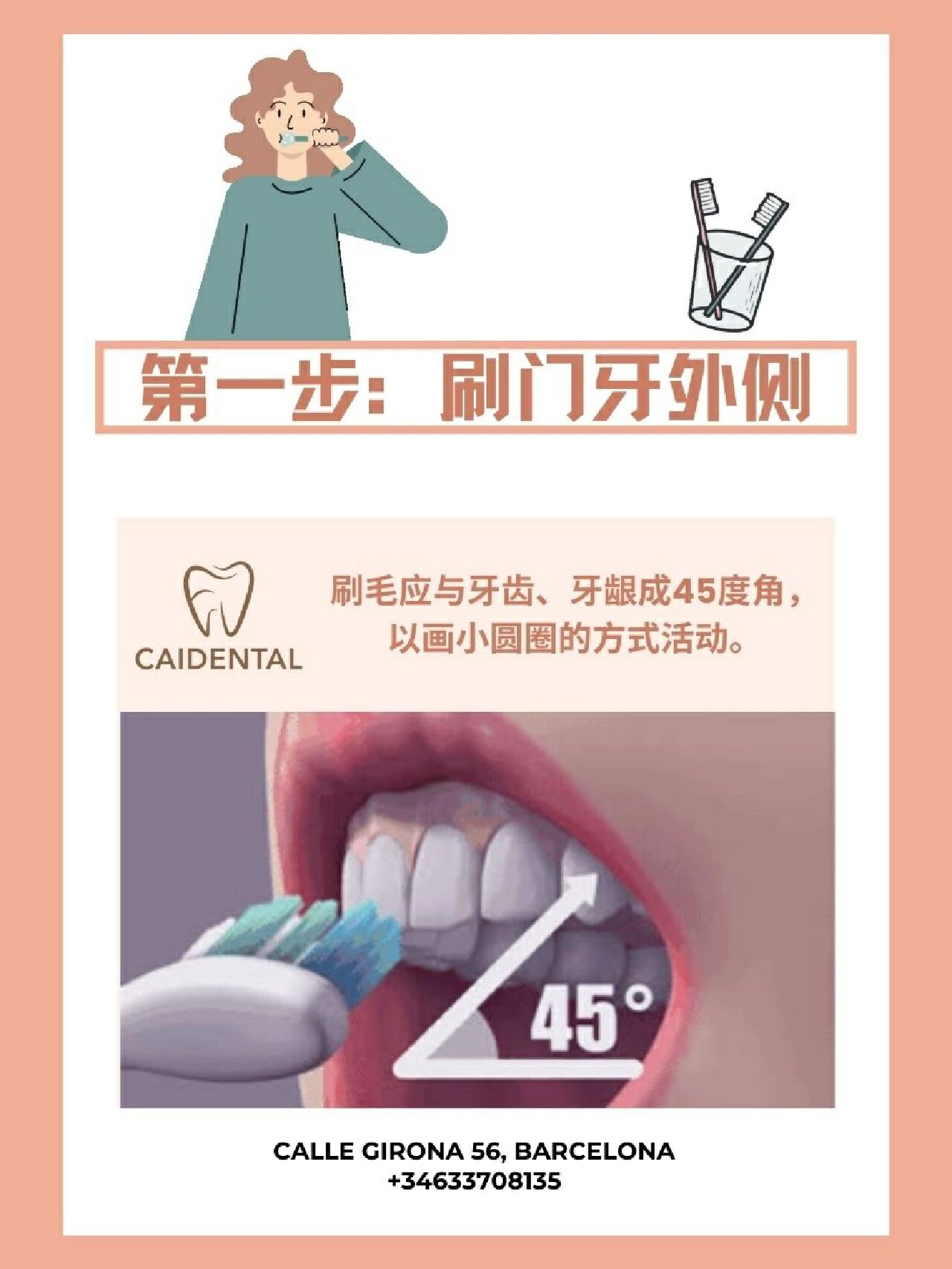 世界标准刷牙姿势-巴氏(bass)刷牙法 78第一步:刷门牙外侧 刷毛应与