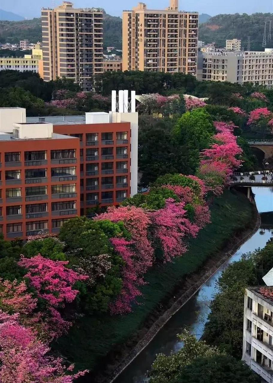 广州软件学院(原广州大学华软软件学院) 专本连读!本科资源!