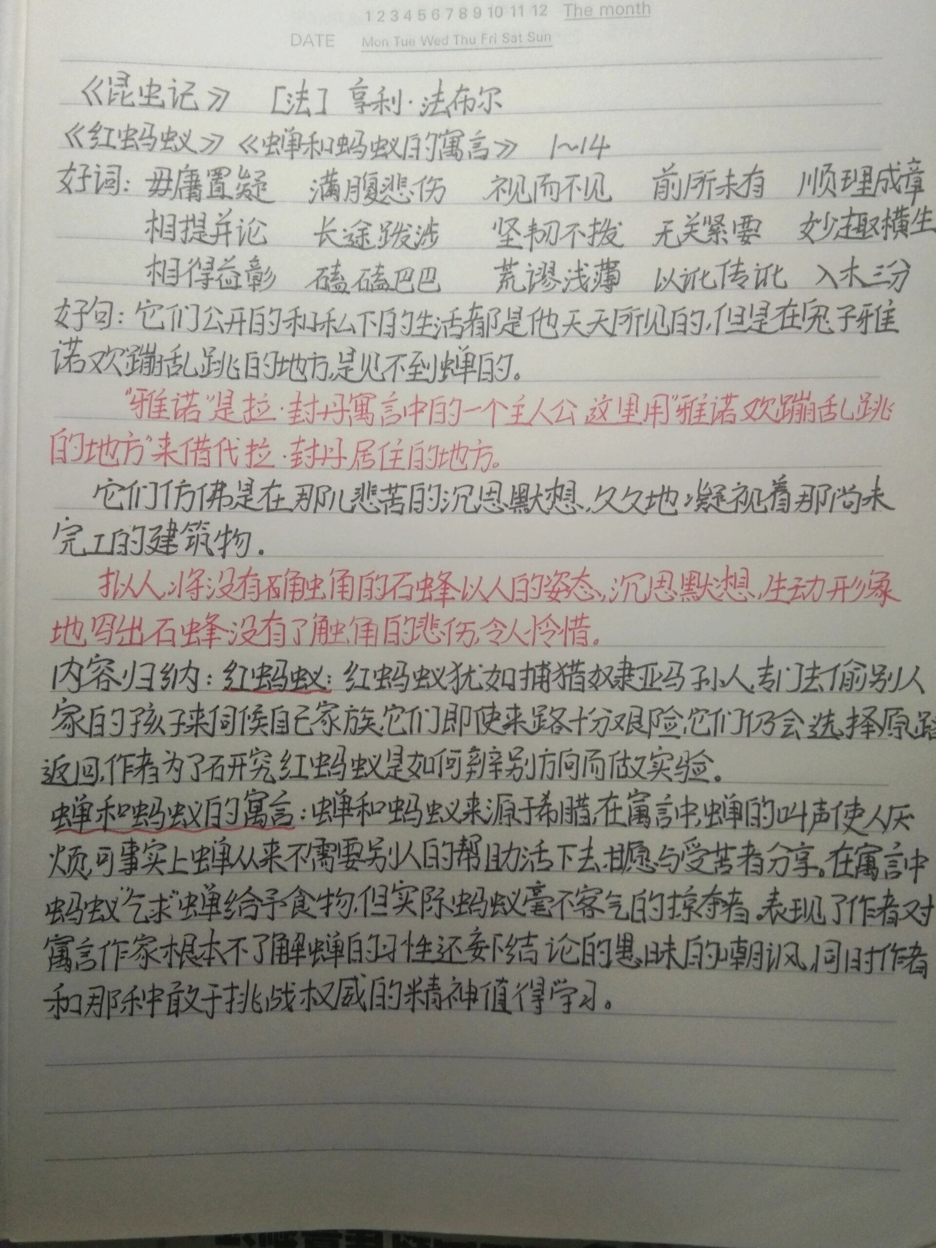 关于红蚂蚁的手抄报图片