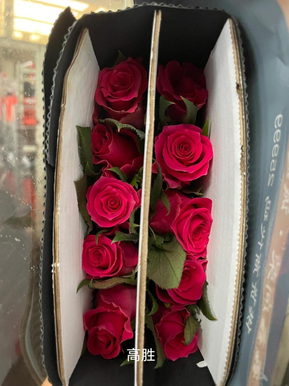 常见玫红色玫瑰 大桃红,市场上基本已经没有了.