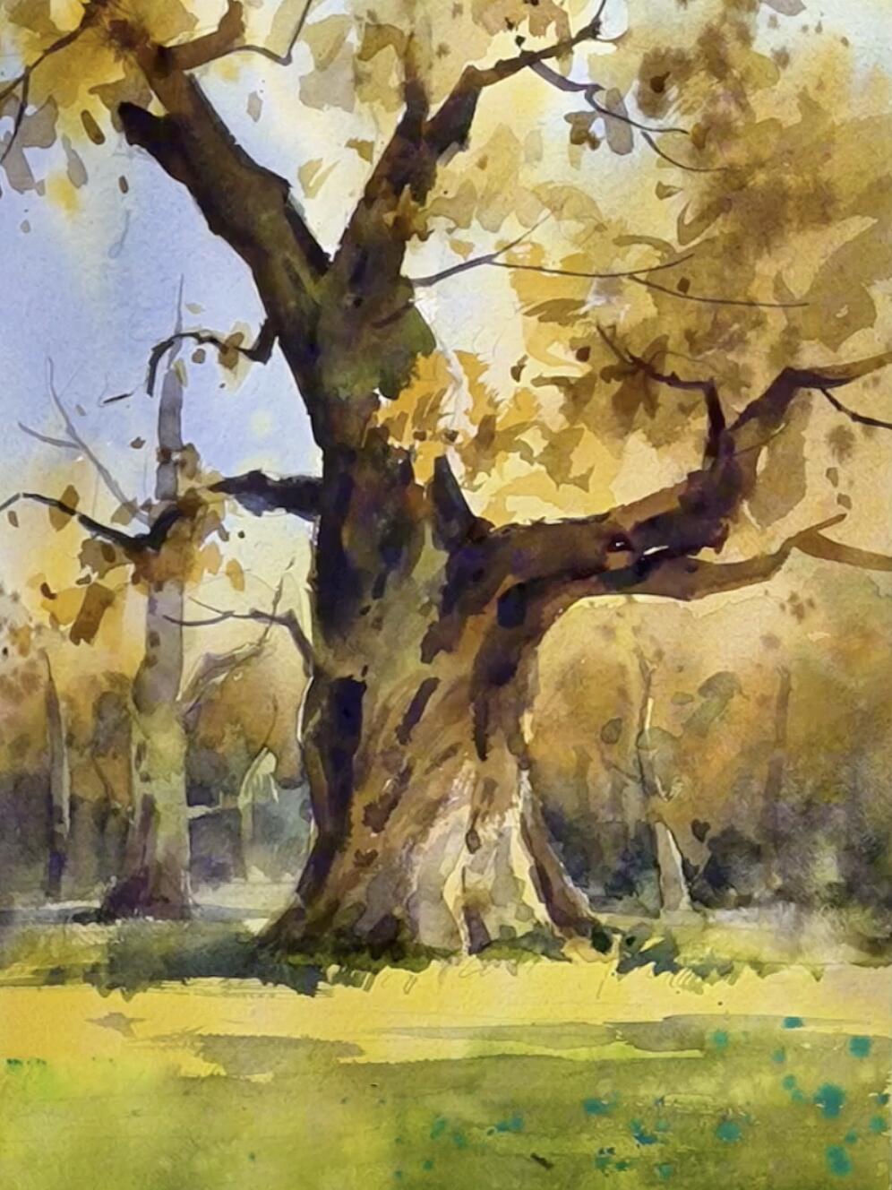 水彩🍂 绘制秋日古树的详细步骤 🎨