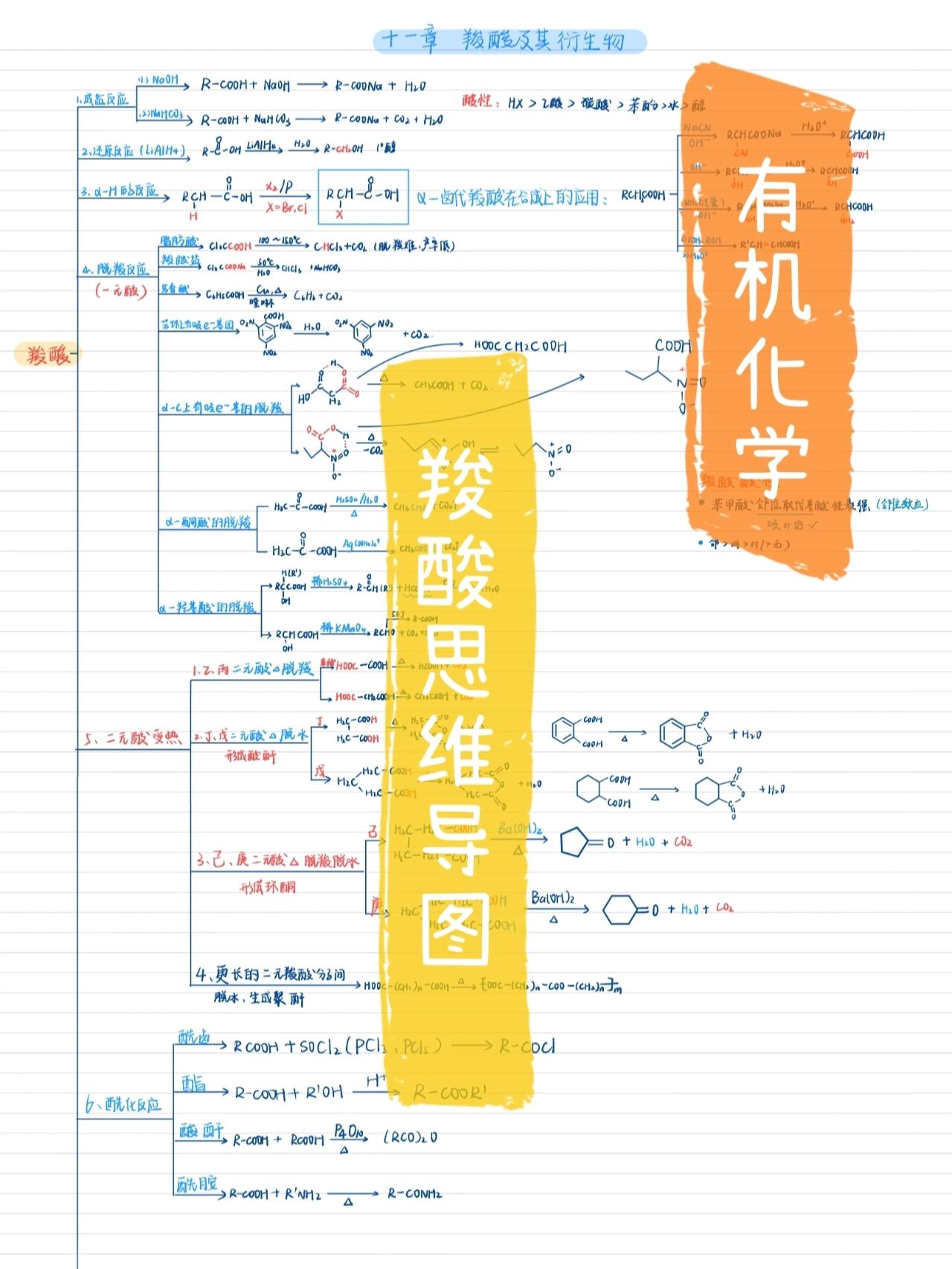 有机化学|羧酸思维导图