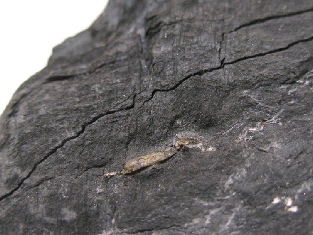 黄铁矿形态与含金性的关系 如何通过观察黄铁矿的晶体形态,初步判断它