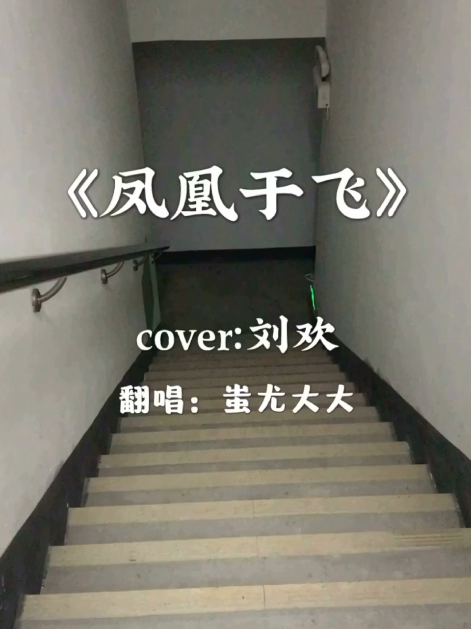 97初中生翻唱|《凤凰于飞》 这首歌我还是最爱刘欢老师的版本(火了