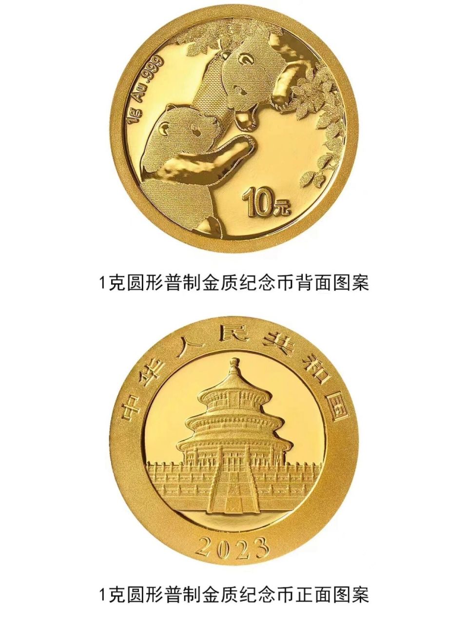 2023年熊猫金币 1克圆形金质纪念币为普制币,含纯金1克,直径10毫米