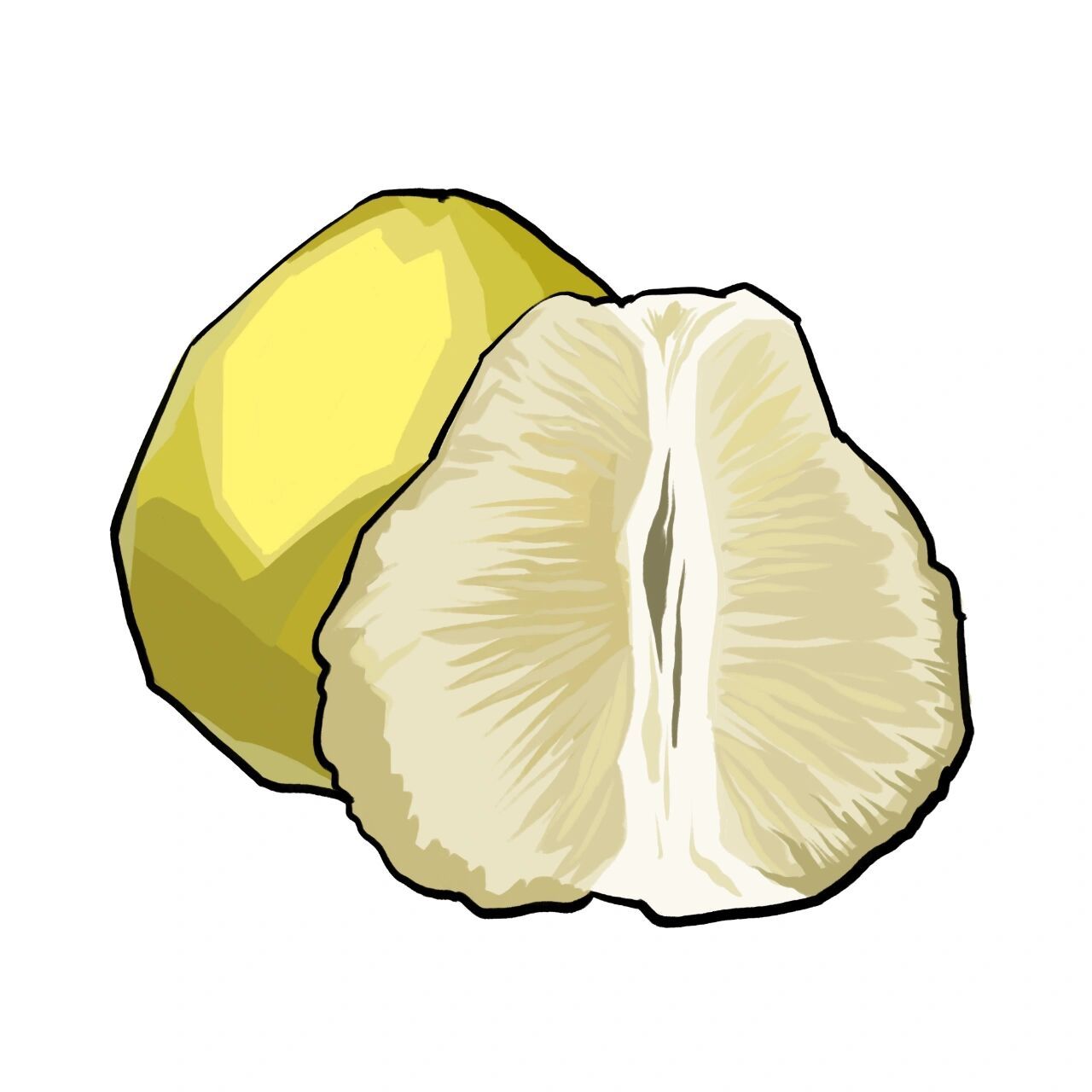 柚子简笔画教学