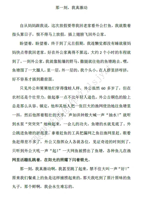那一刻我激动极了作文