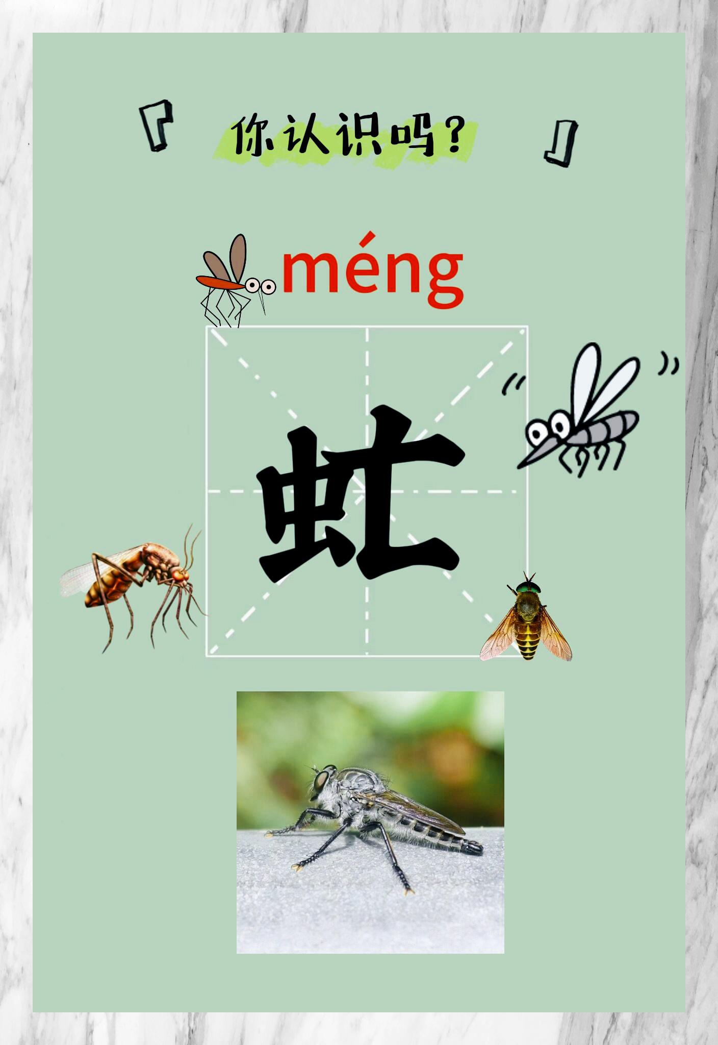 每日学字: 探秘汉字虻