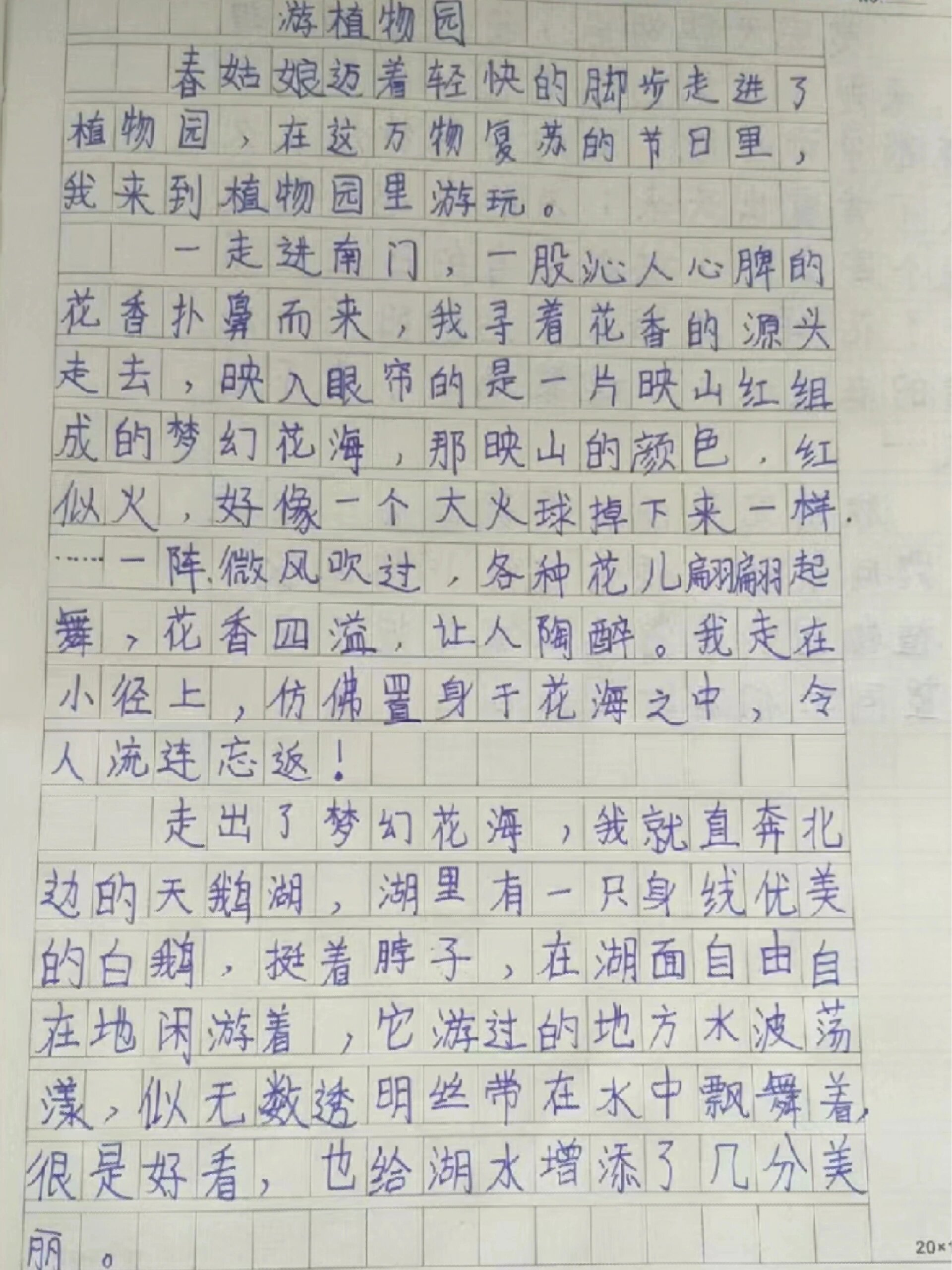 四下习作游