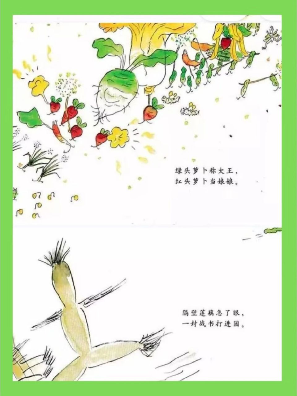 幼儿园公开课||大班综合【一园青菜成了精】 97