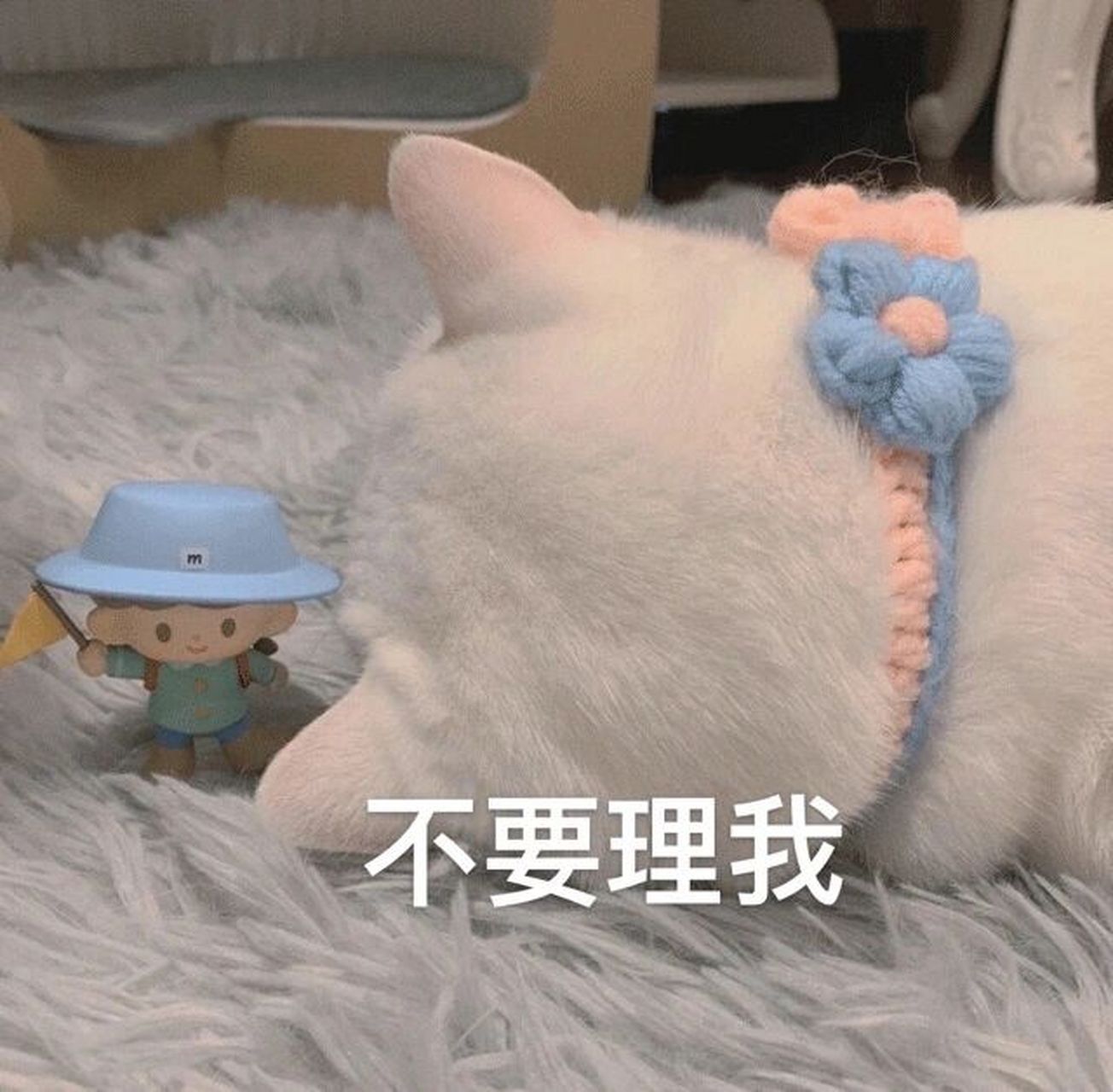 最近流行的摆烂表情包 为了不辜负今天这样的好天气,我决定去篮球场