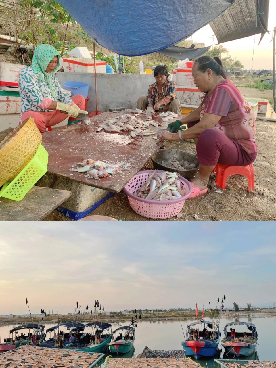 望楼港位于海南乐东黎族自治县的利国镇, 位于望楼河入海处东侧,北距