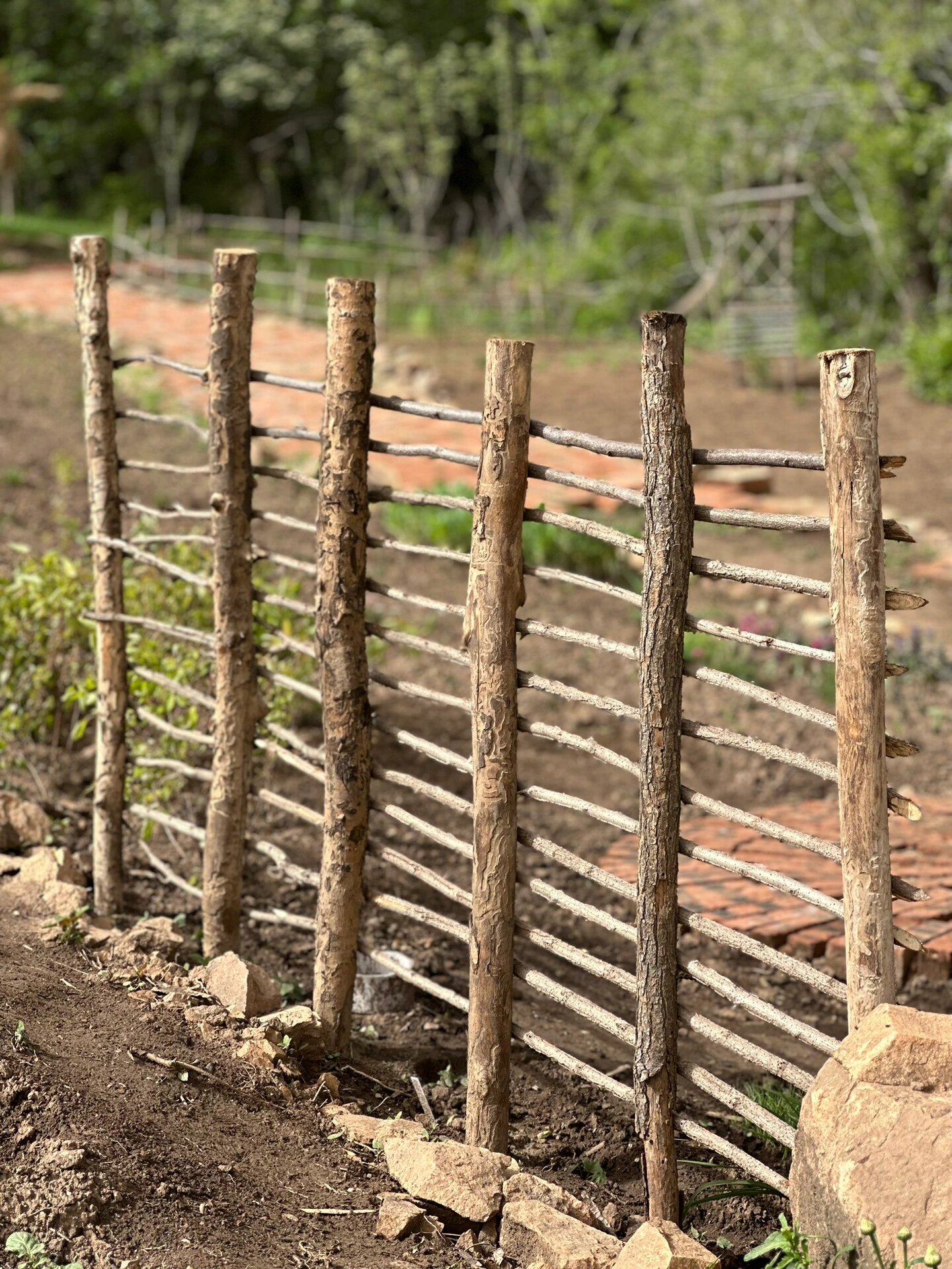 山野风木头篱笆一分钱不花自己做