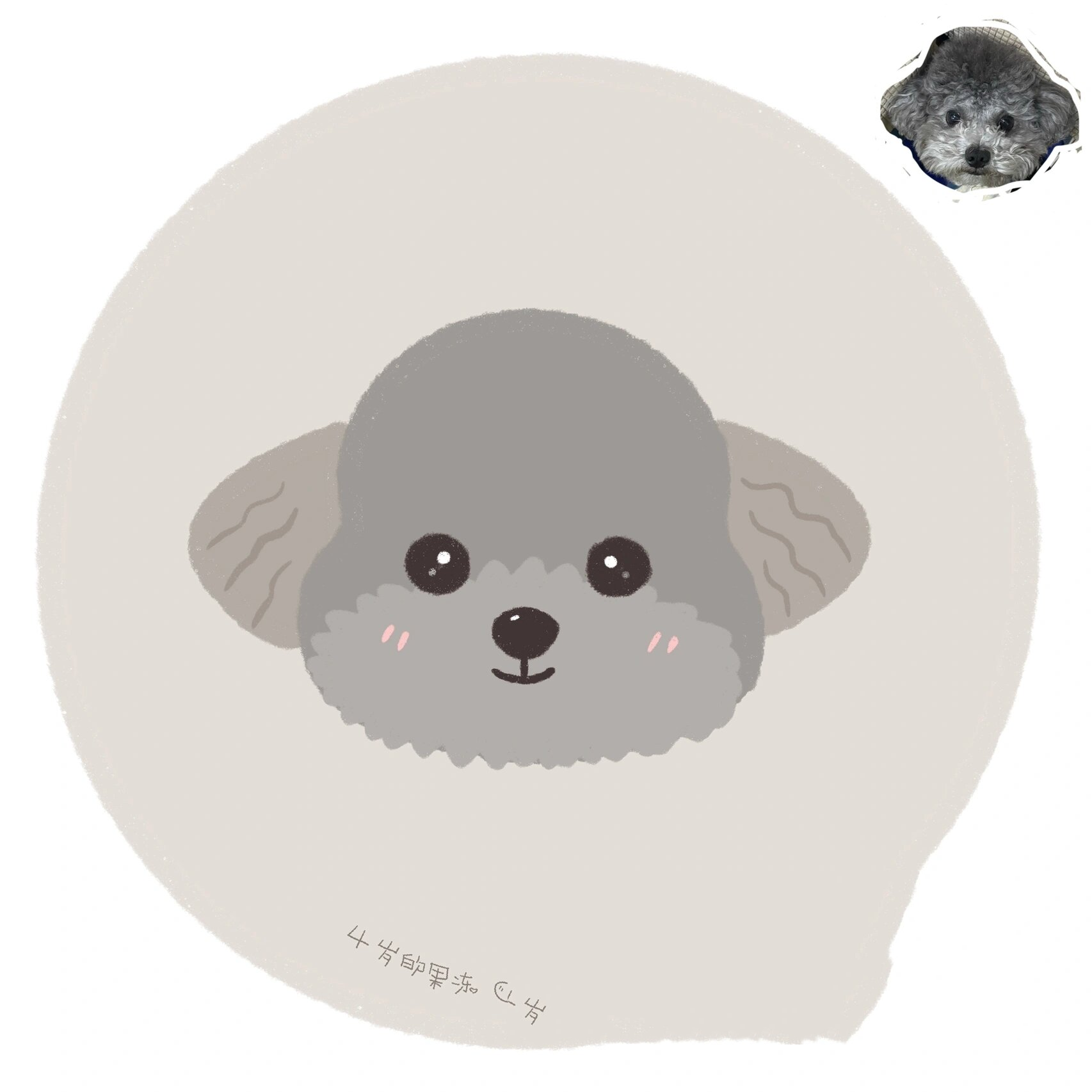 原创ipad画灰泰迪狗板绘手绘宠物可爱萌卡通