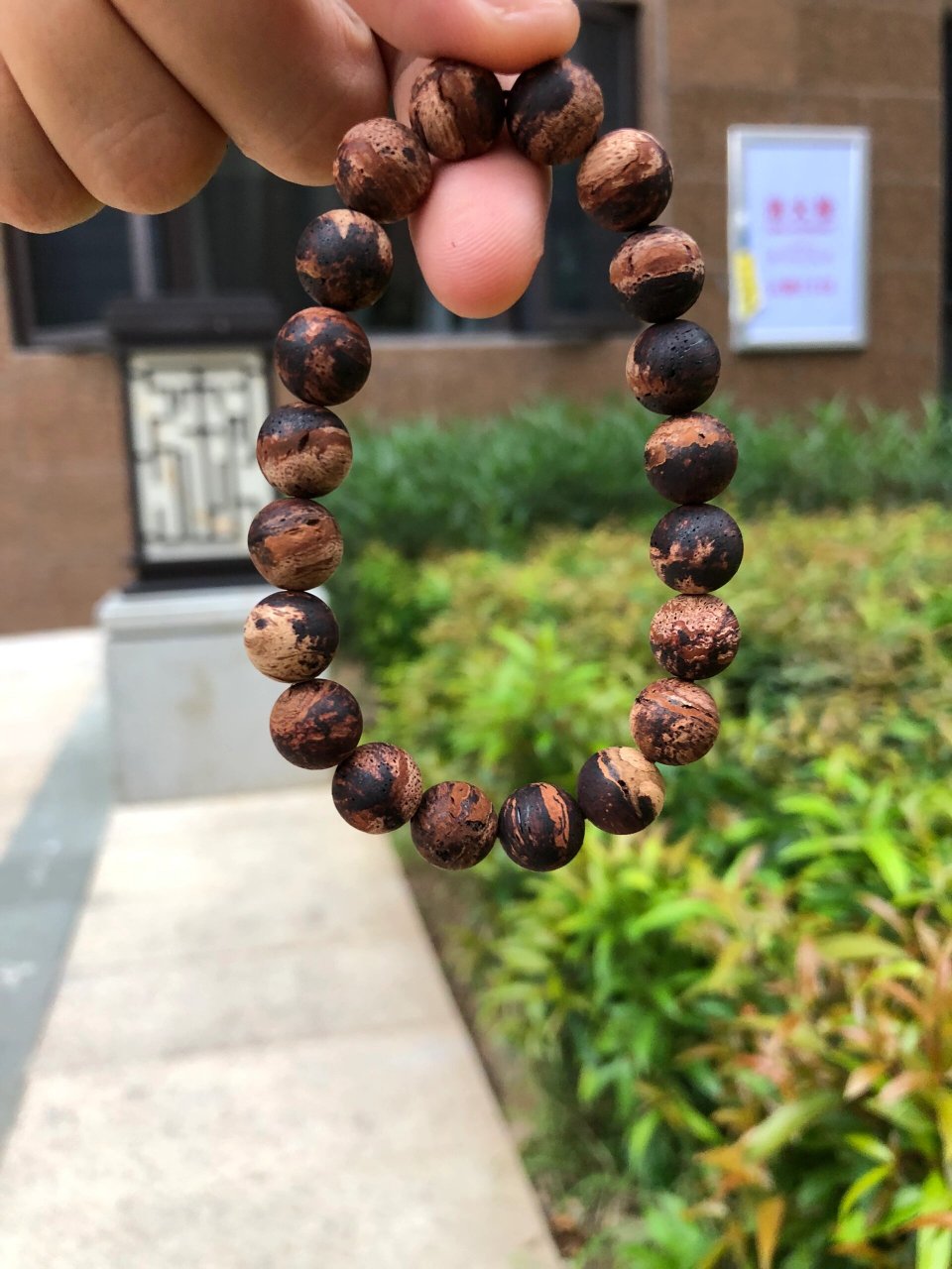 降真香黄金甲有着很高的药用价值 黄金甲指的是降真香表面的黄酮附合
