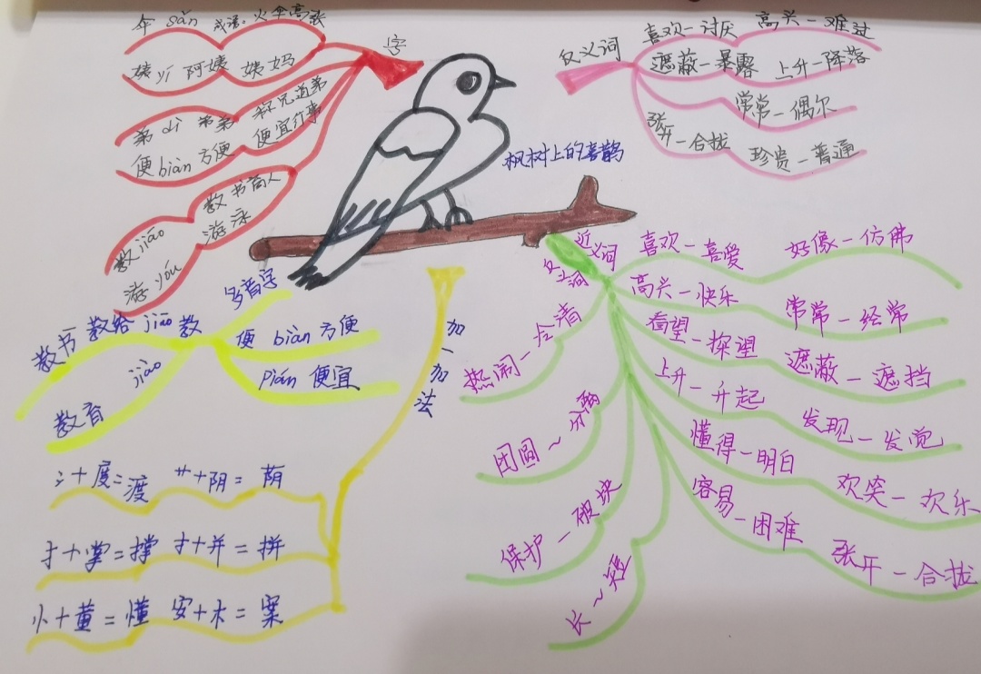 二年级下册语文《枫树上的喜鹊》思维导图