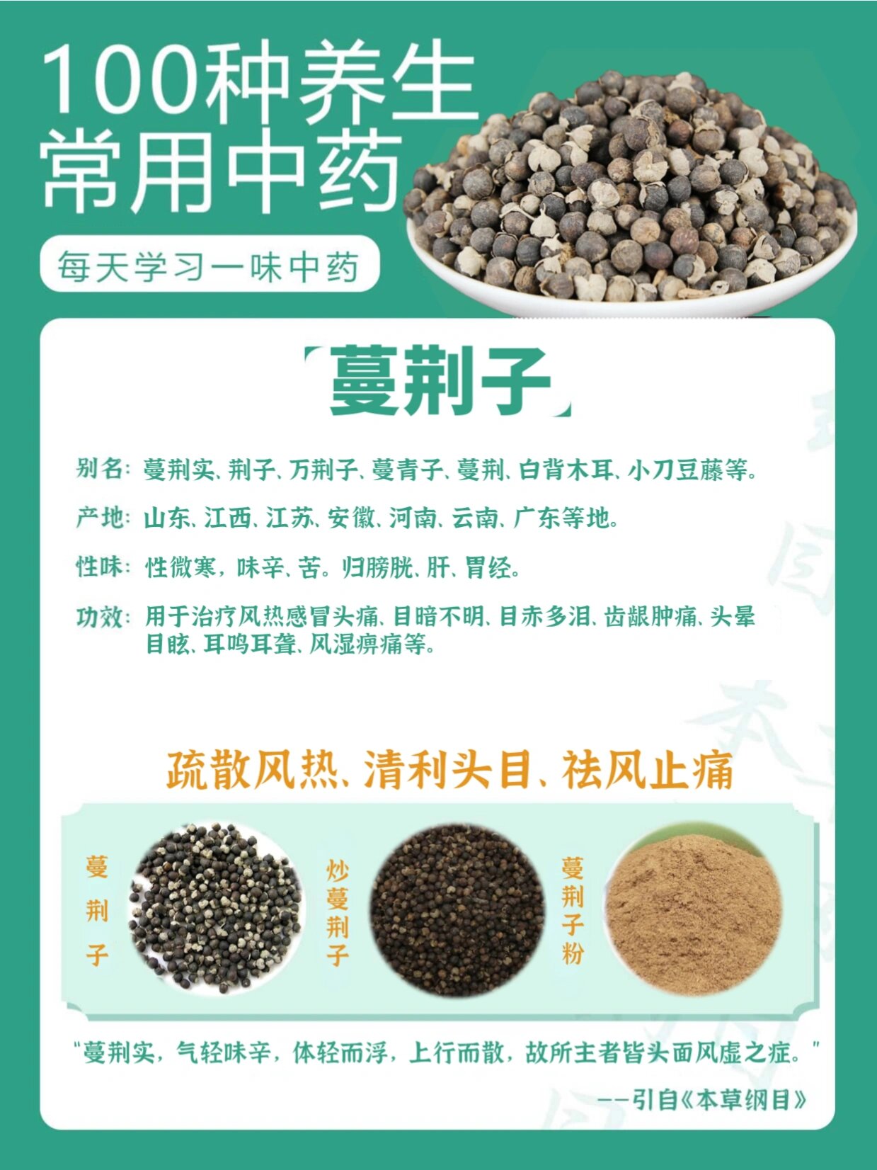 蔓荆子图片 功效图片