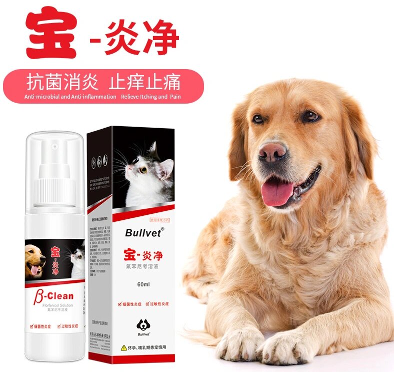 狗狗有脓皮症了该怎么办?