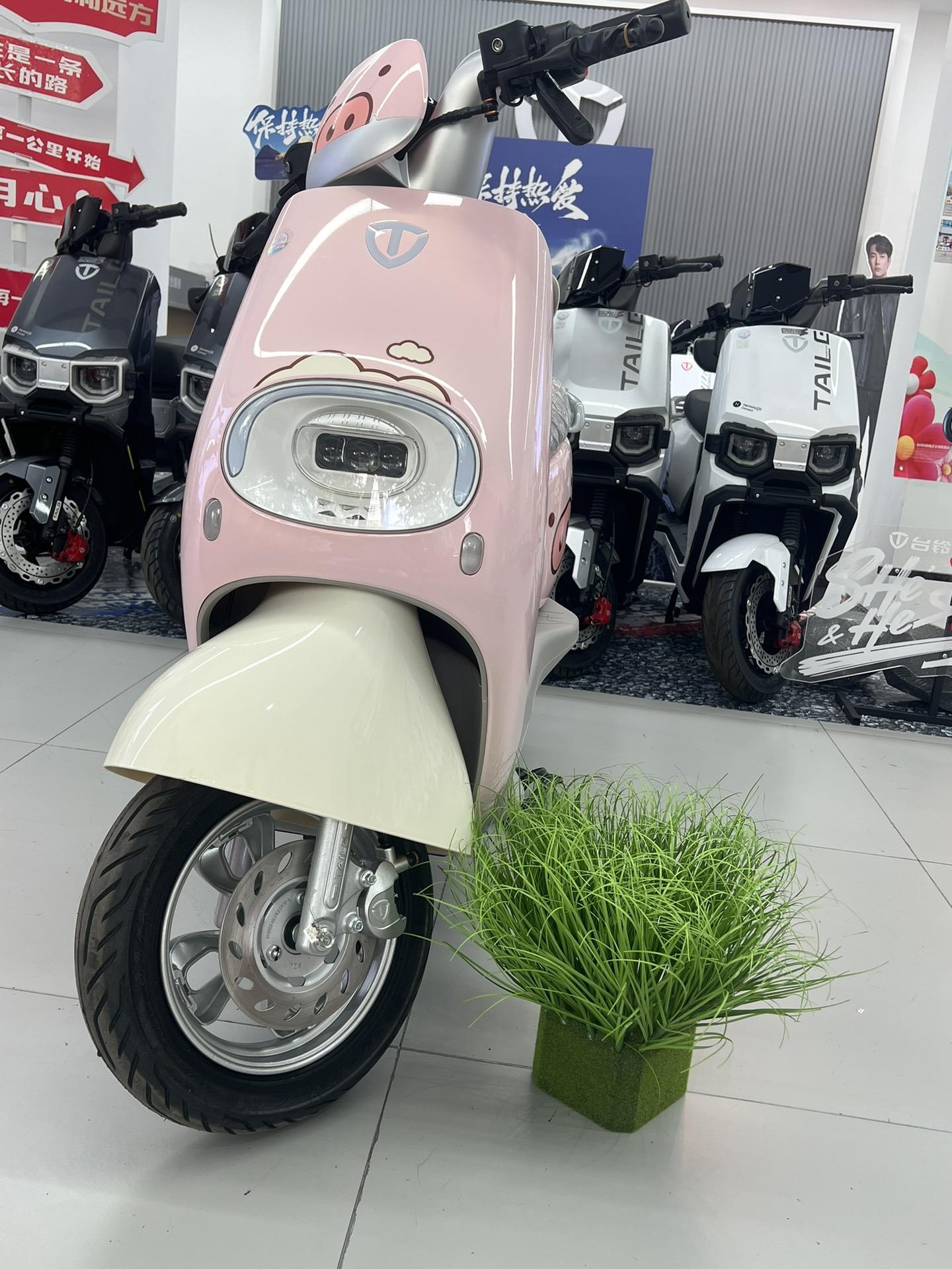 台铃新款标致eb绿牌ab座电动,正宗方龟畅销派系,长续航技术平台,中偏