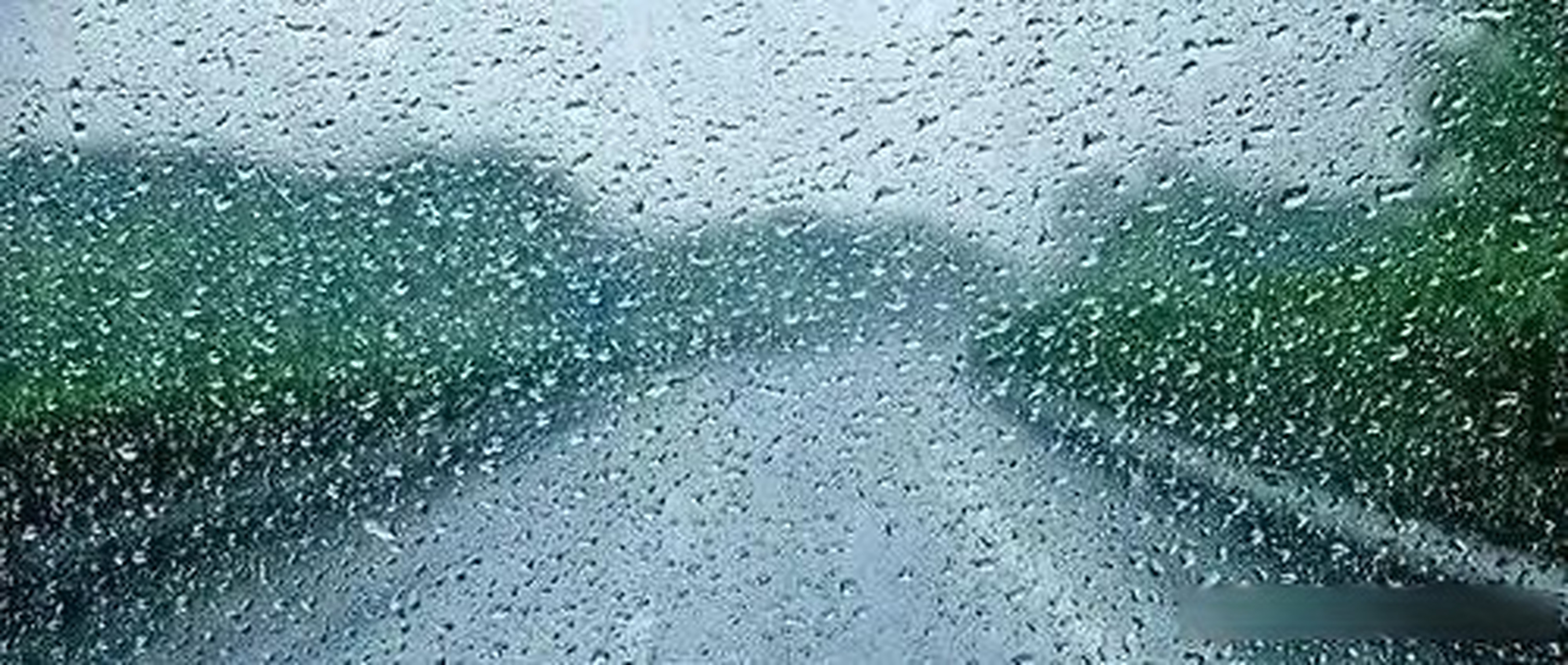 胡椒蜀黍微互动# 你们那儿下雨了吗?