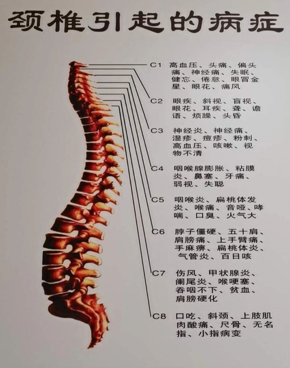 脊柱两旁的经络图图片