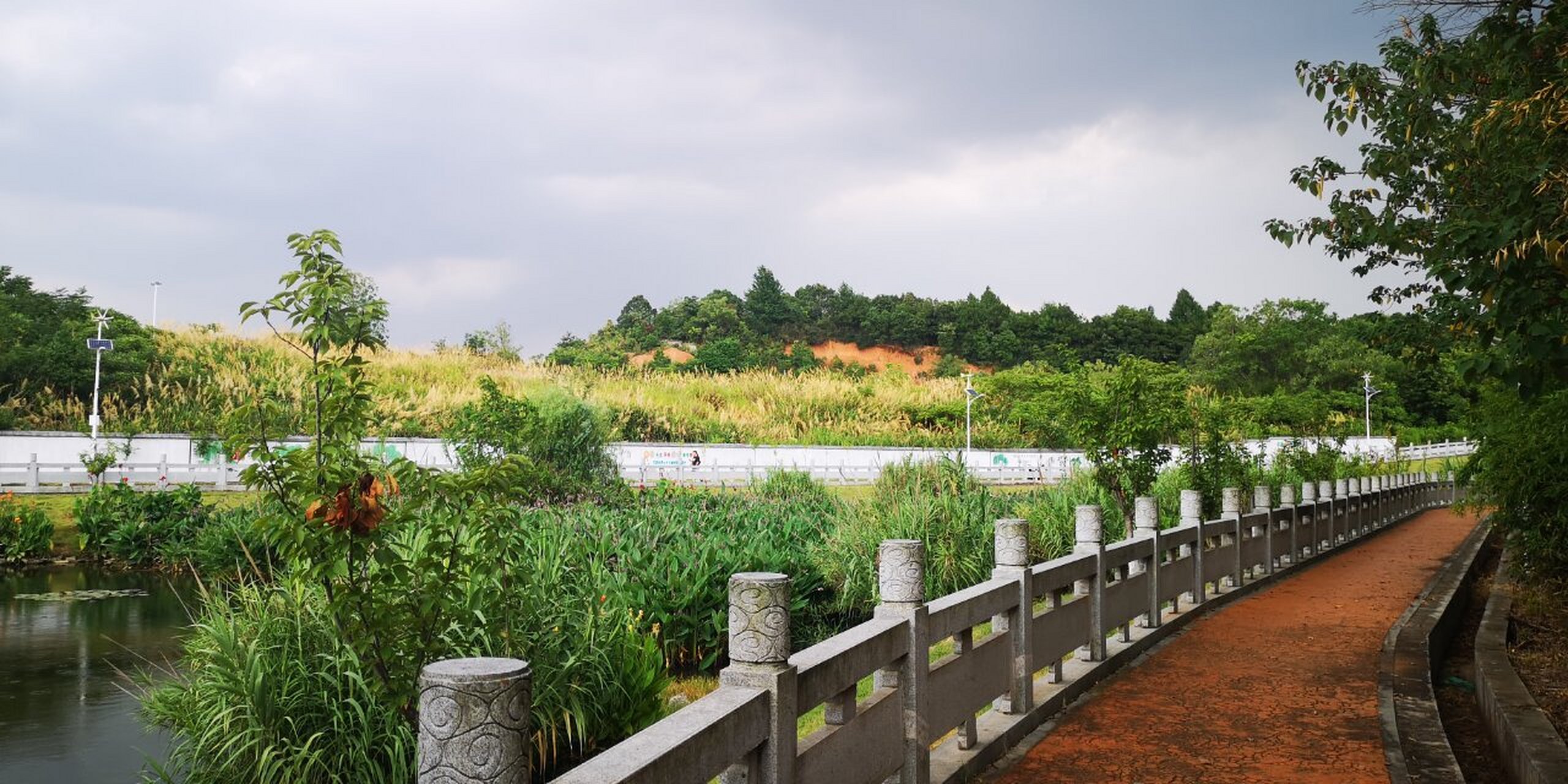 实地探访,揭秘长株潭绿心中央公园绿道 长株潭绿心中央公园绿道,只