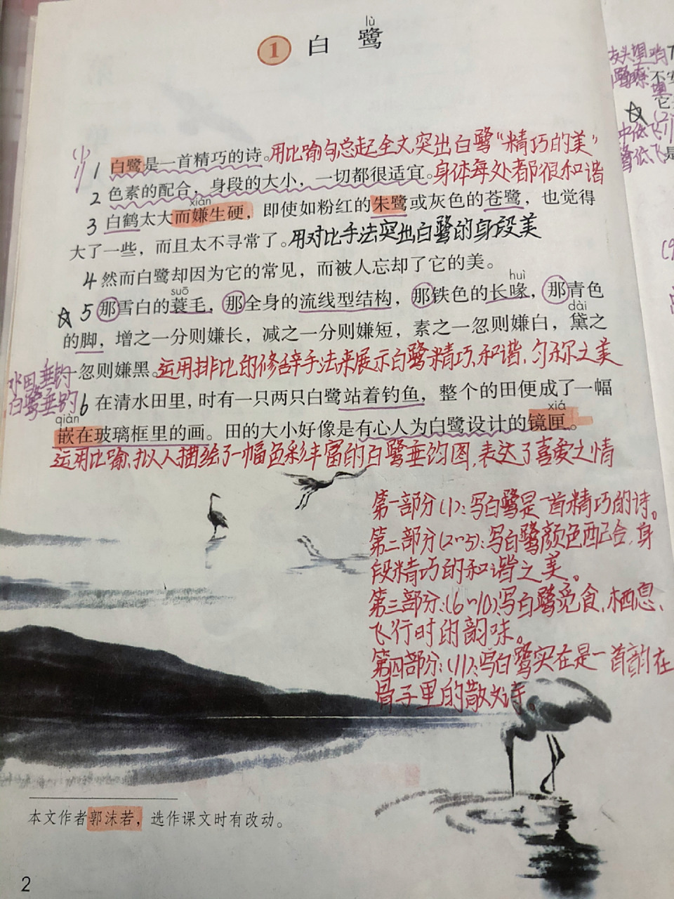 五年级语文上册第一课《白鹭》课文预习