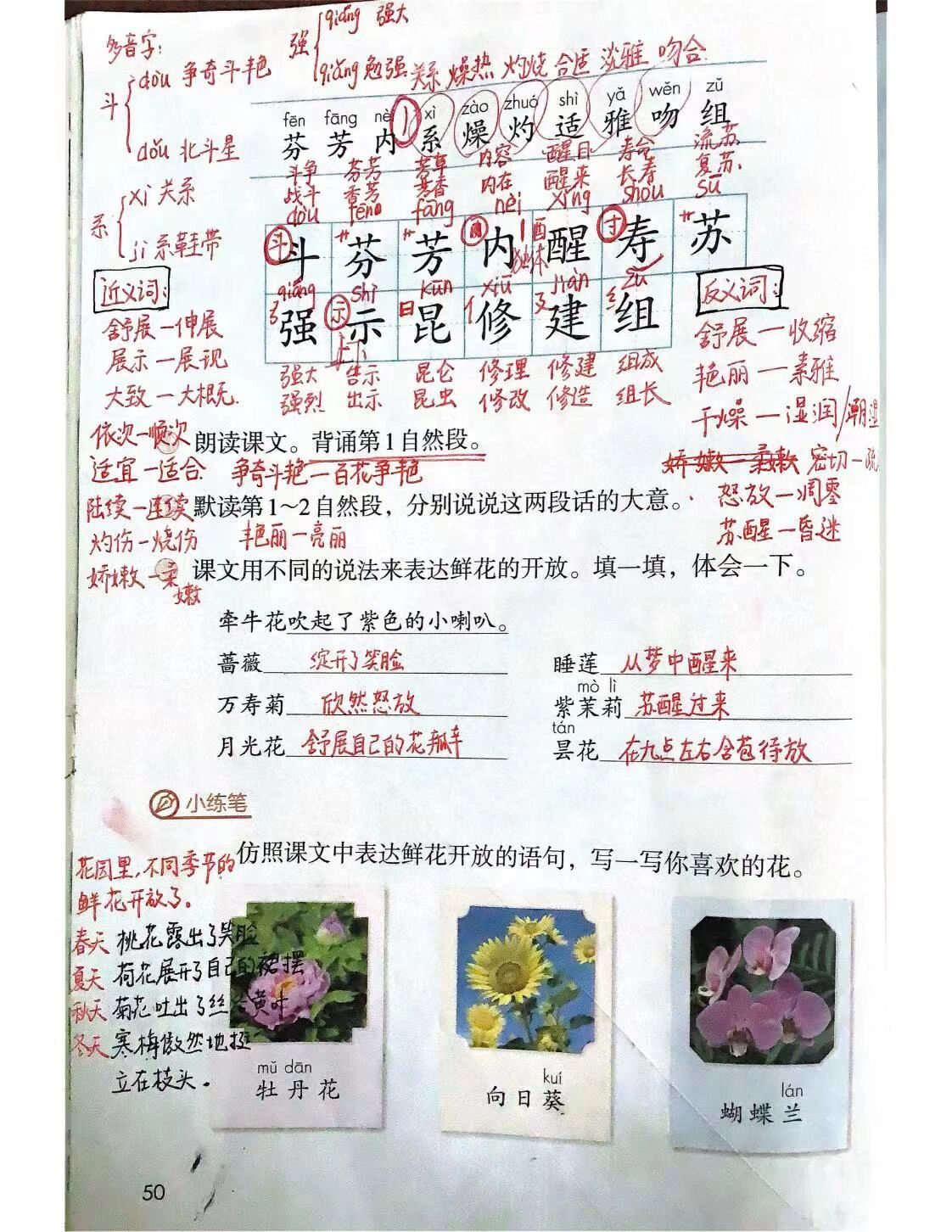 13花钟课文笔记图片