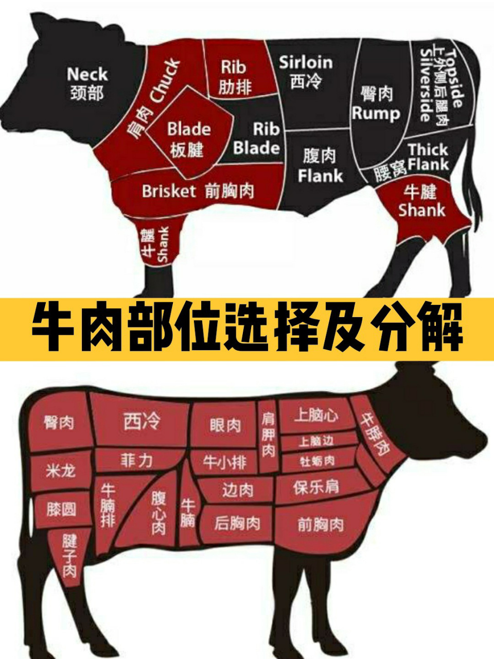 牛肉分解图高清名称图片