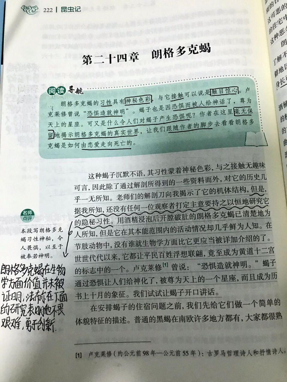 朗格多克蝎子简介图片