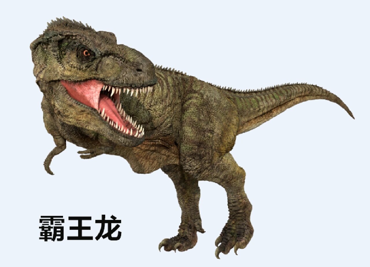 0303现在的我们时常好奇恐龙称霸地球的时代,但你知道什么是恐龙