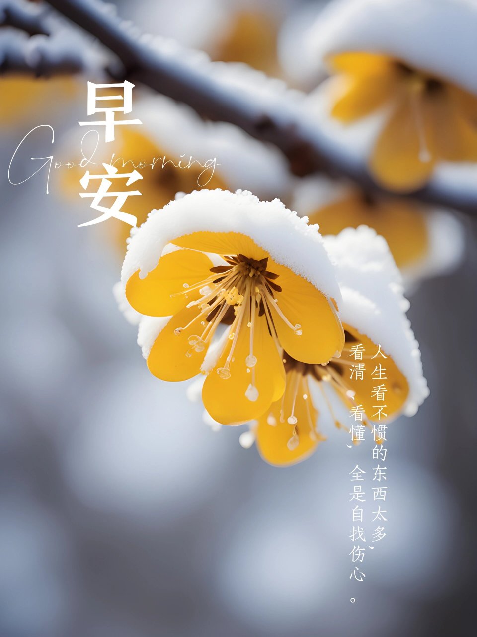 12月27日|早安一句励志语录暖心的文字铺子 12月26日|早安一句励志