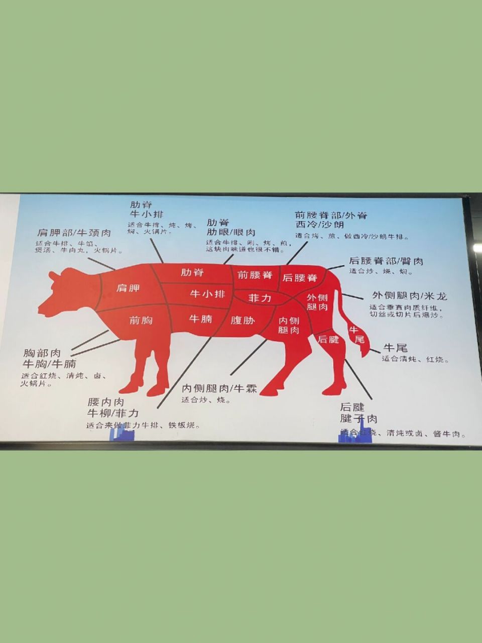 内部资料|一张图带你认识牛的所有部位 嗨,薯薯们,这里是定仙牛.