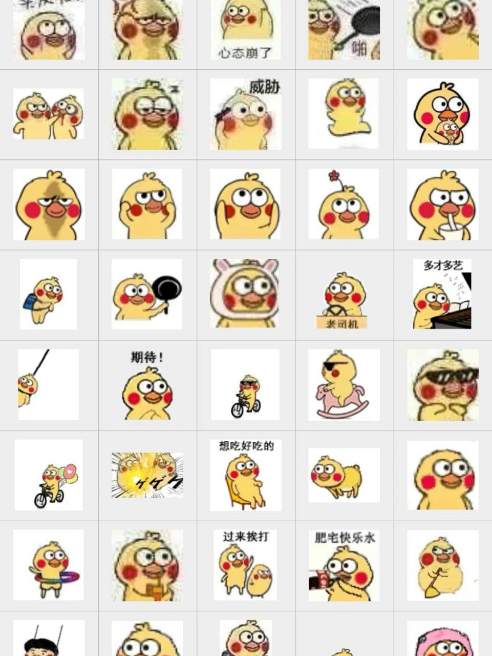 小黄鸡表情包 小黄鸡大户就是我!哈哈哈