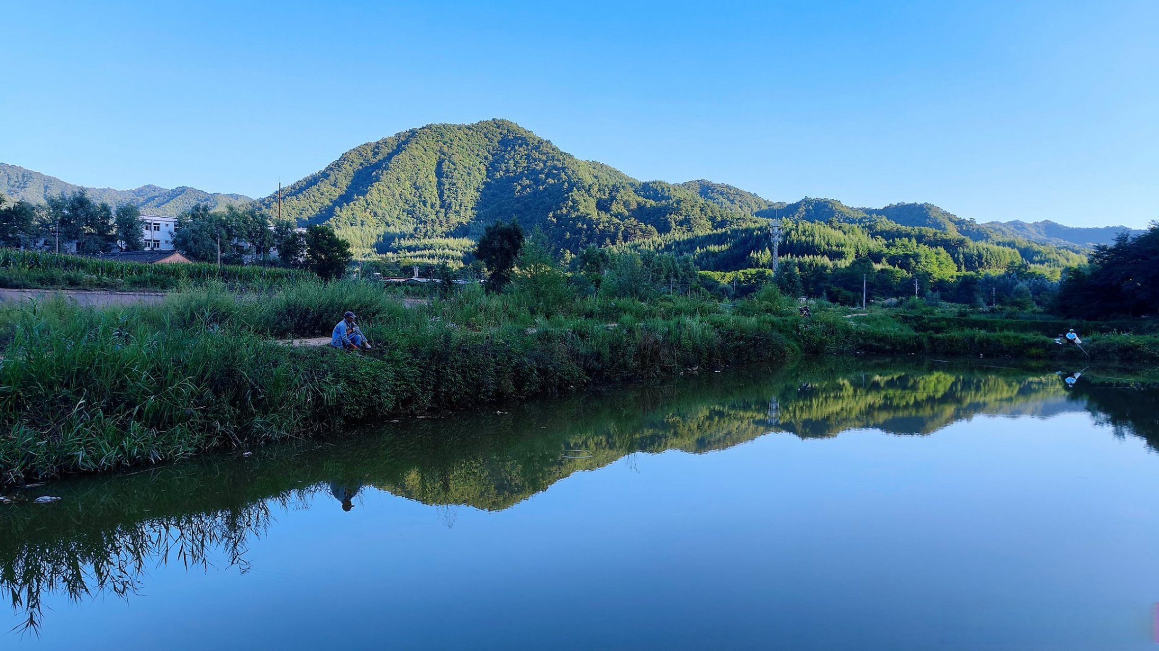 天水李子园图片