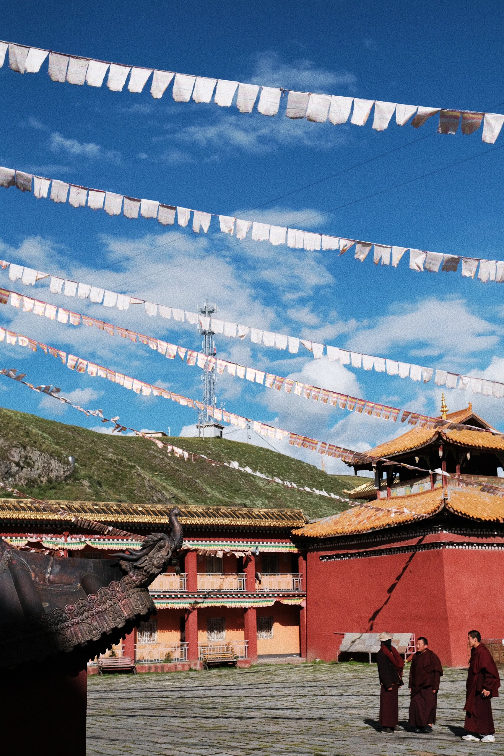 甘孜藏族自治州 康定 塔公草原塔公寺 99今日访寺 四川甘孜康定的